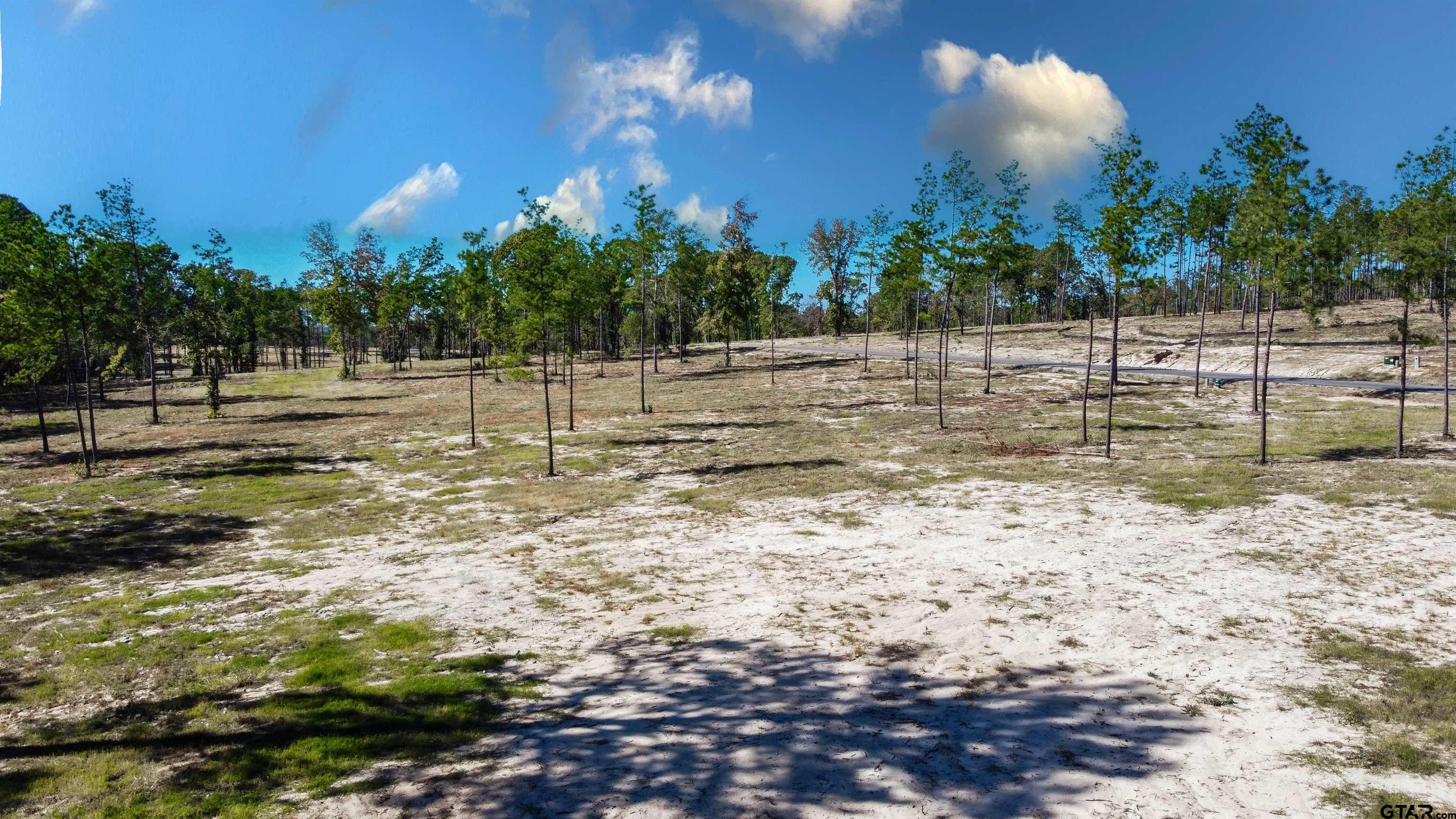 16077 Aniston Ln - (lot 12), Flint, Texas image 40