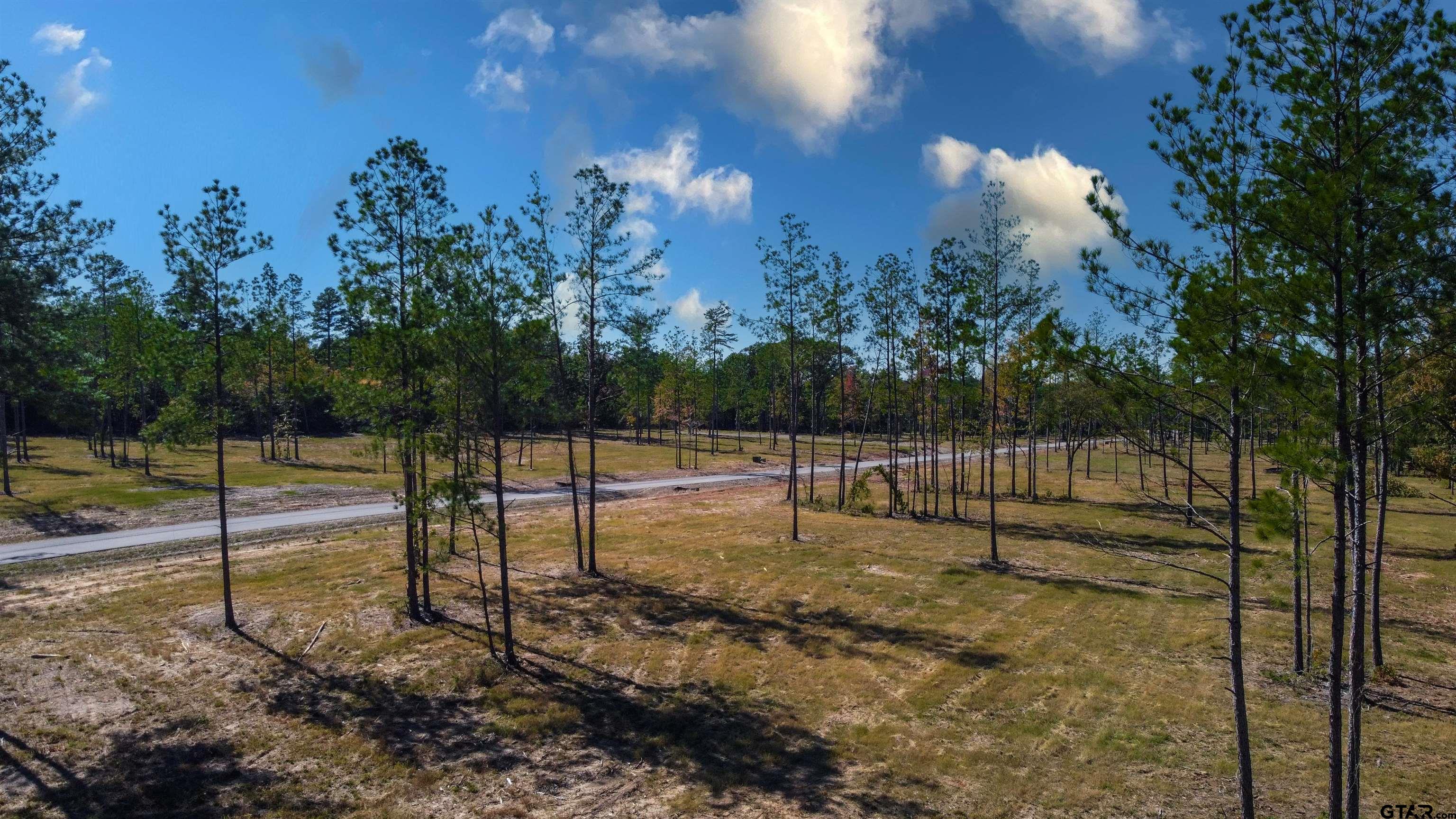 16077 Aniston Ln - (lot 12), Flint, Texas image 5