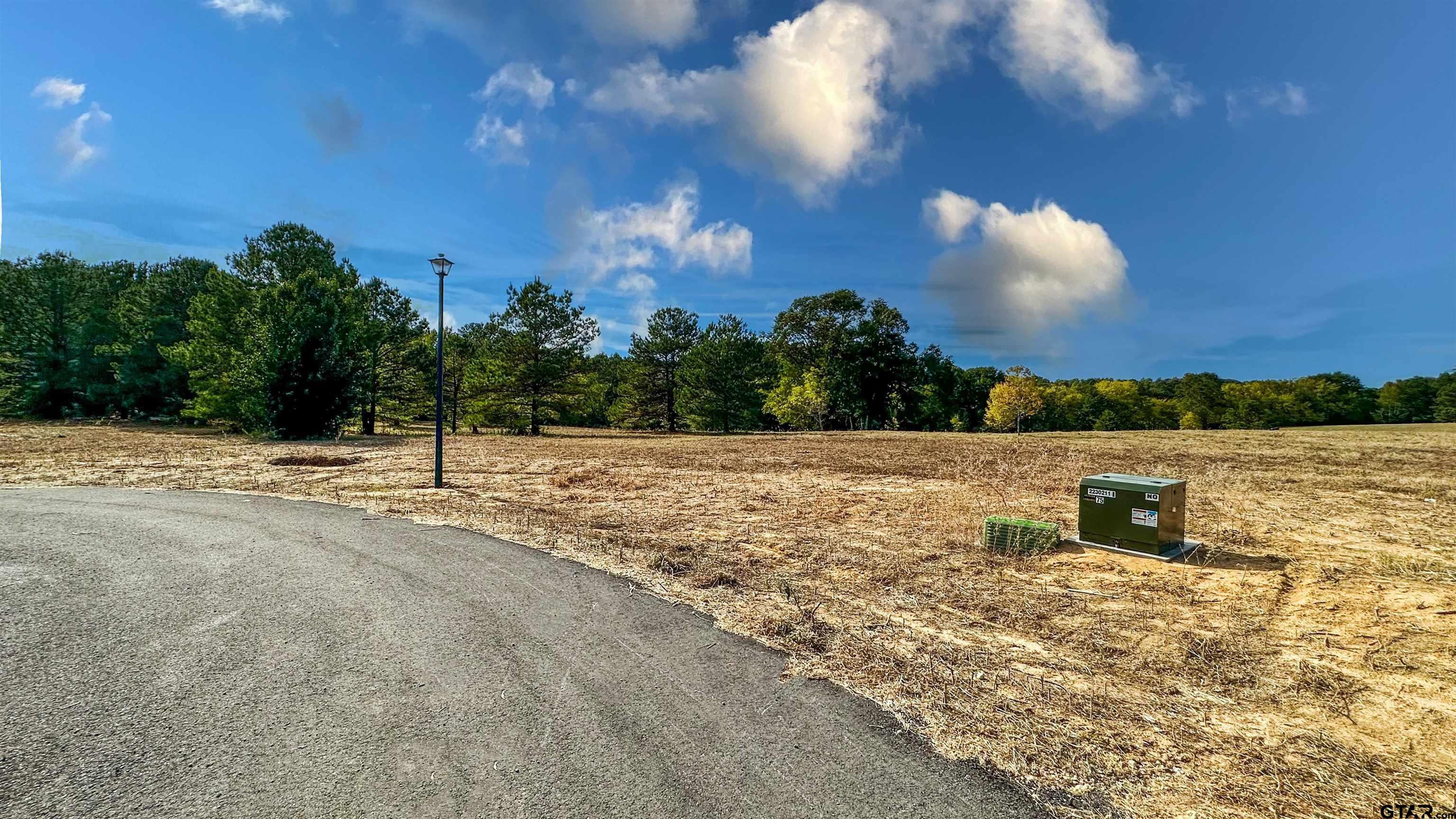 16077 Aniston Ln - (lot 12), Flint, Texas image 42