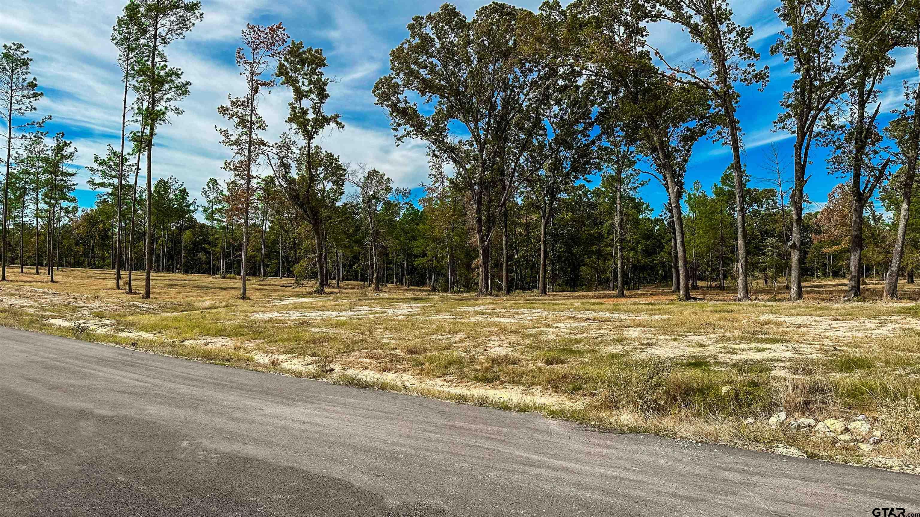 16077 Aniston Ln - (lot 12), Flint, Texas image 44