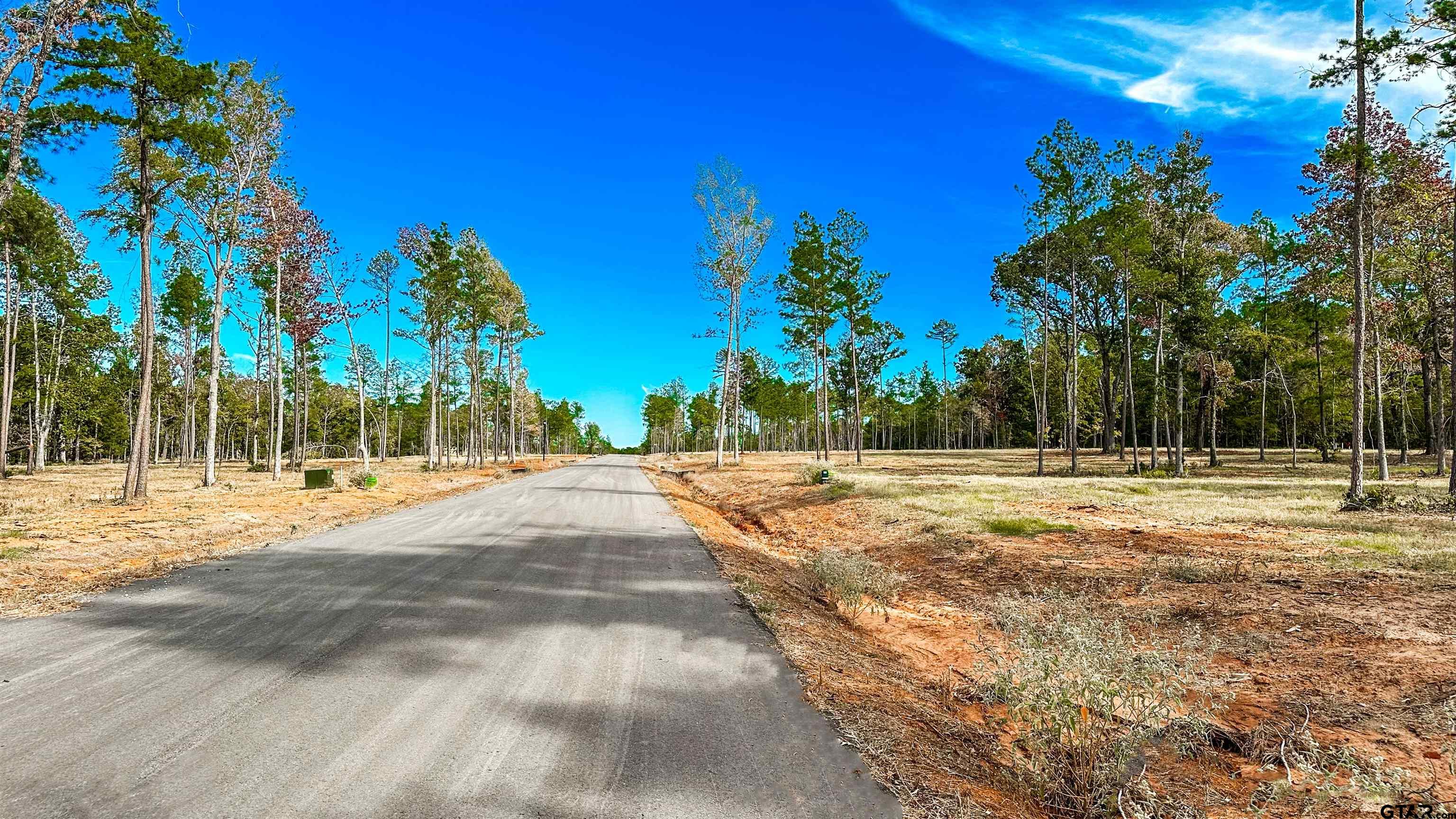 16077 Aniston Ln - (lot 12), Flint, Texas image 45