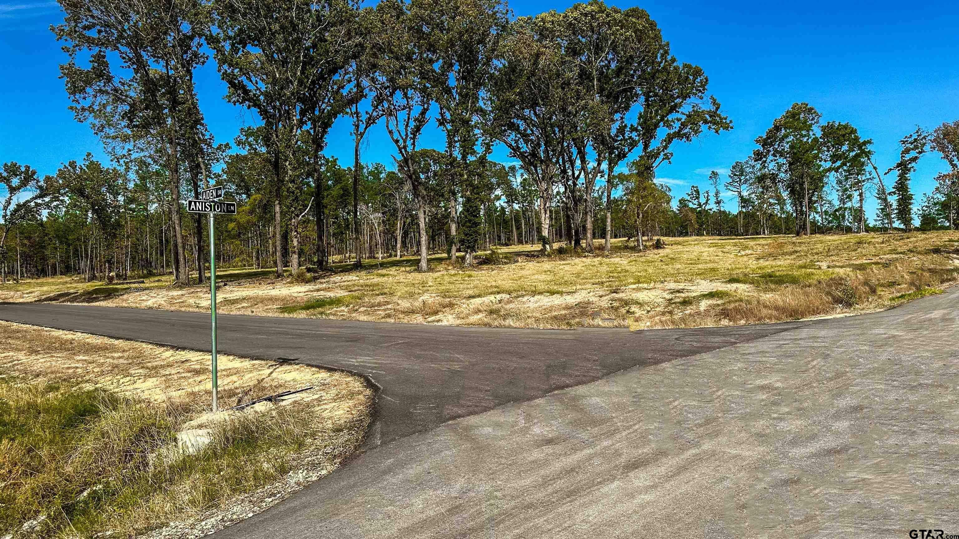 16077 Aniston Ln - (lot 12), Flint, Texas image 46