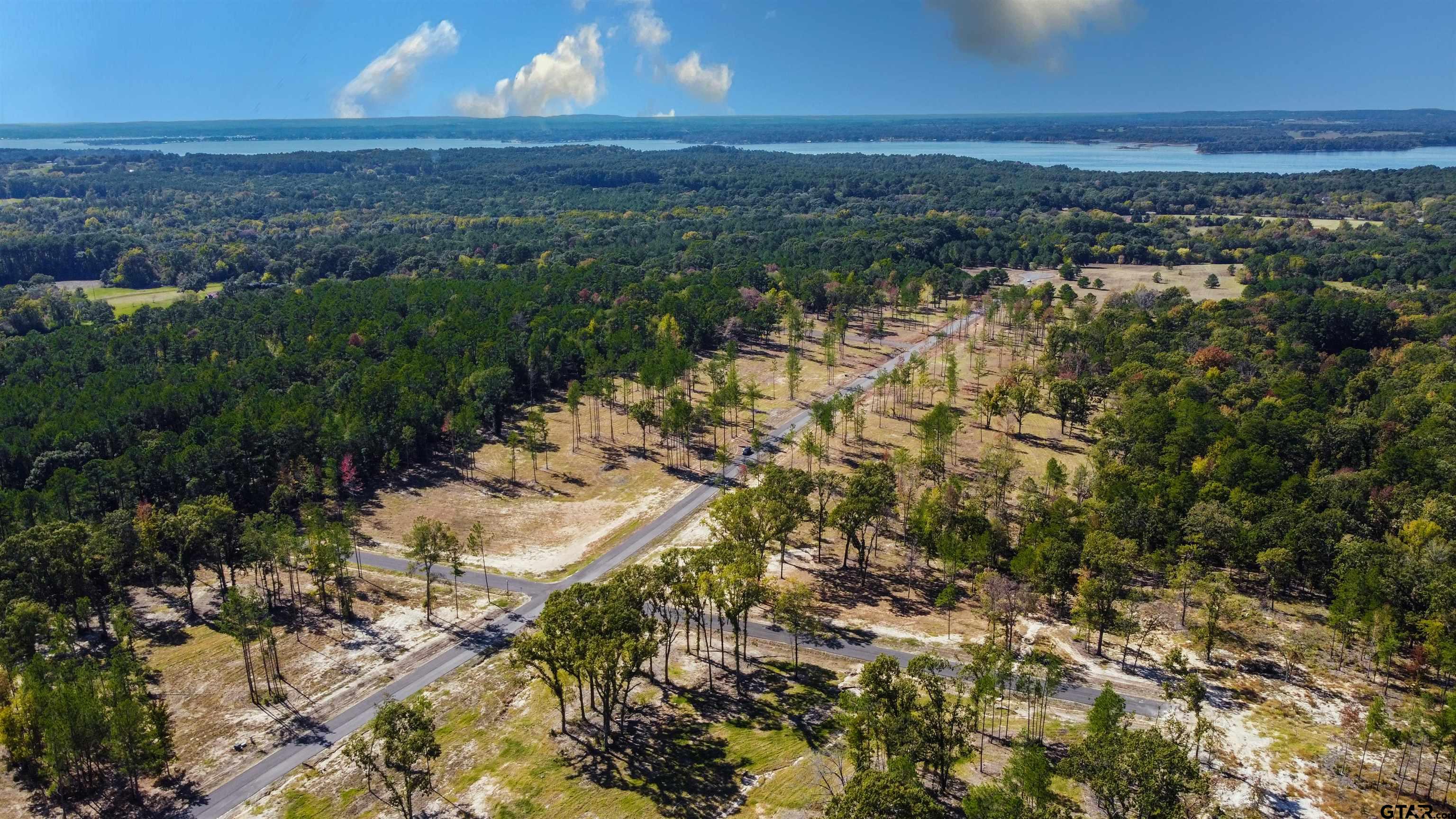 16077 Aniston Ln - (lot 12), Flint, Texas image 6