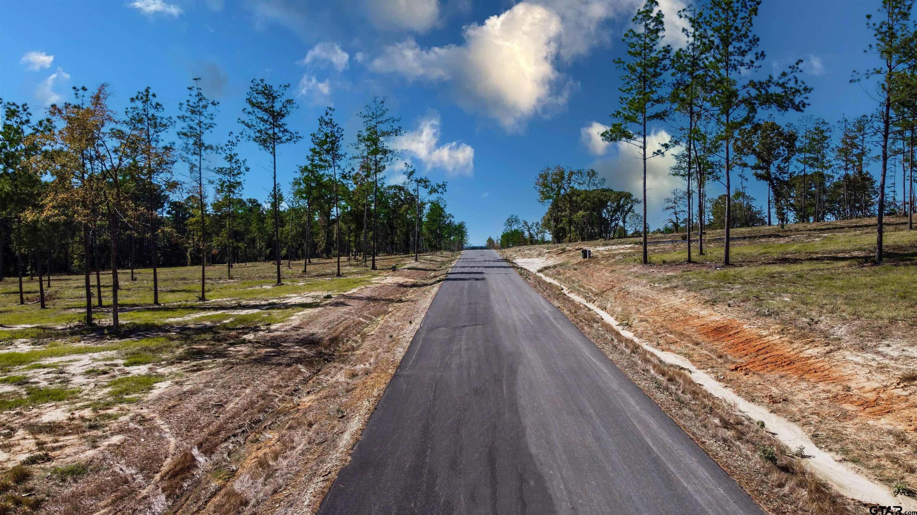 16077 Aniston Ln - (lot 12), Flint, Texas image 7