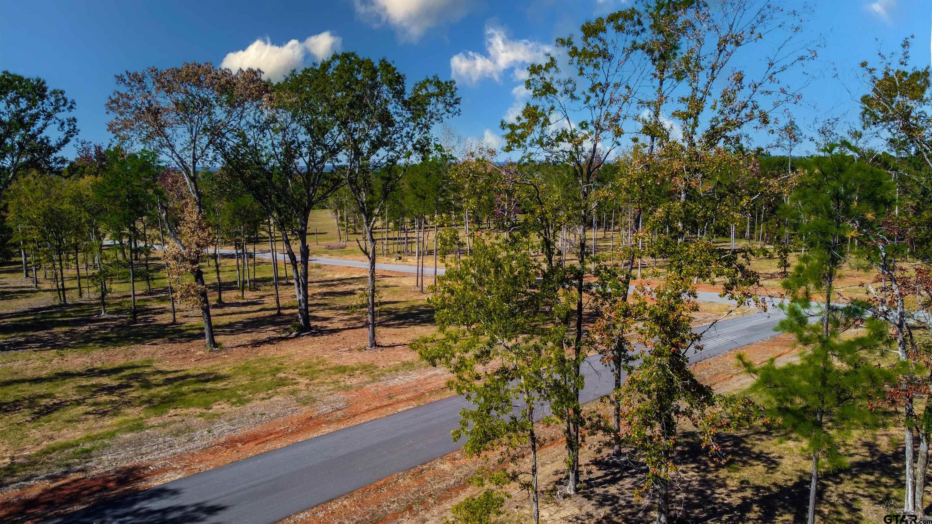 16077 Aniston Ln - (lot 12), Flint, Texas image 8