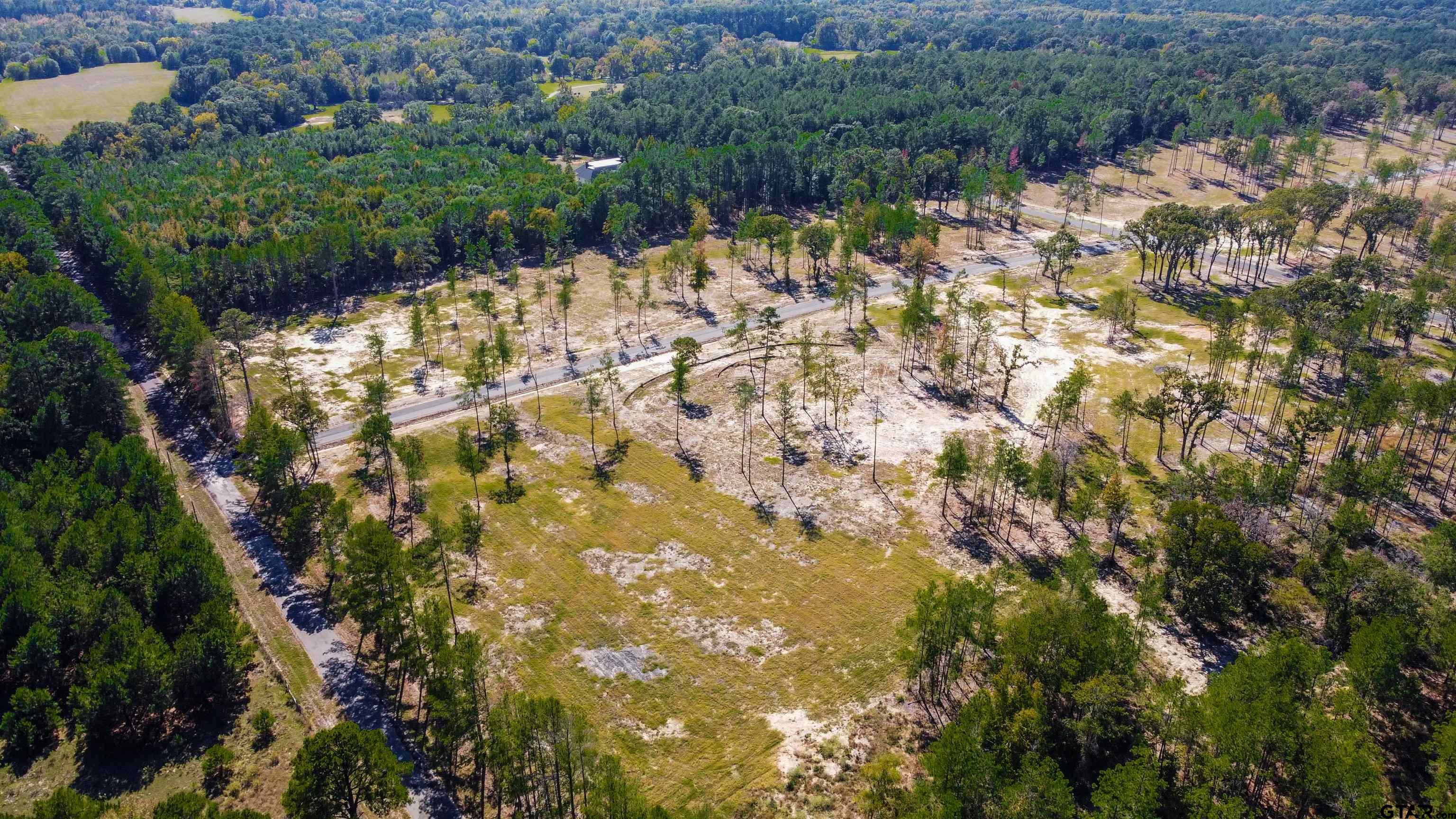 16077 Aniston Ln - (lot 12), Flint, Texas image 10
