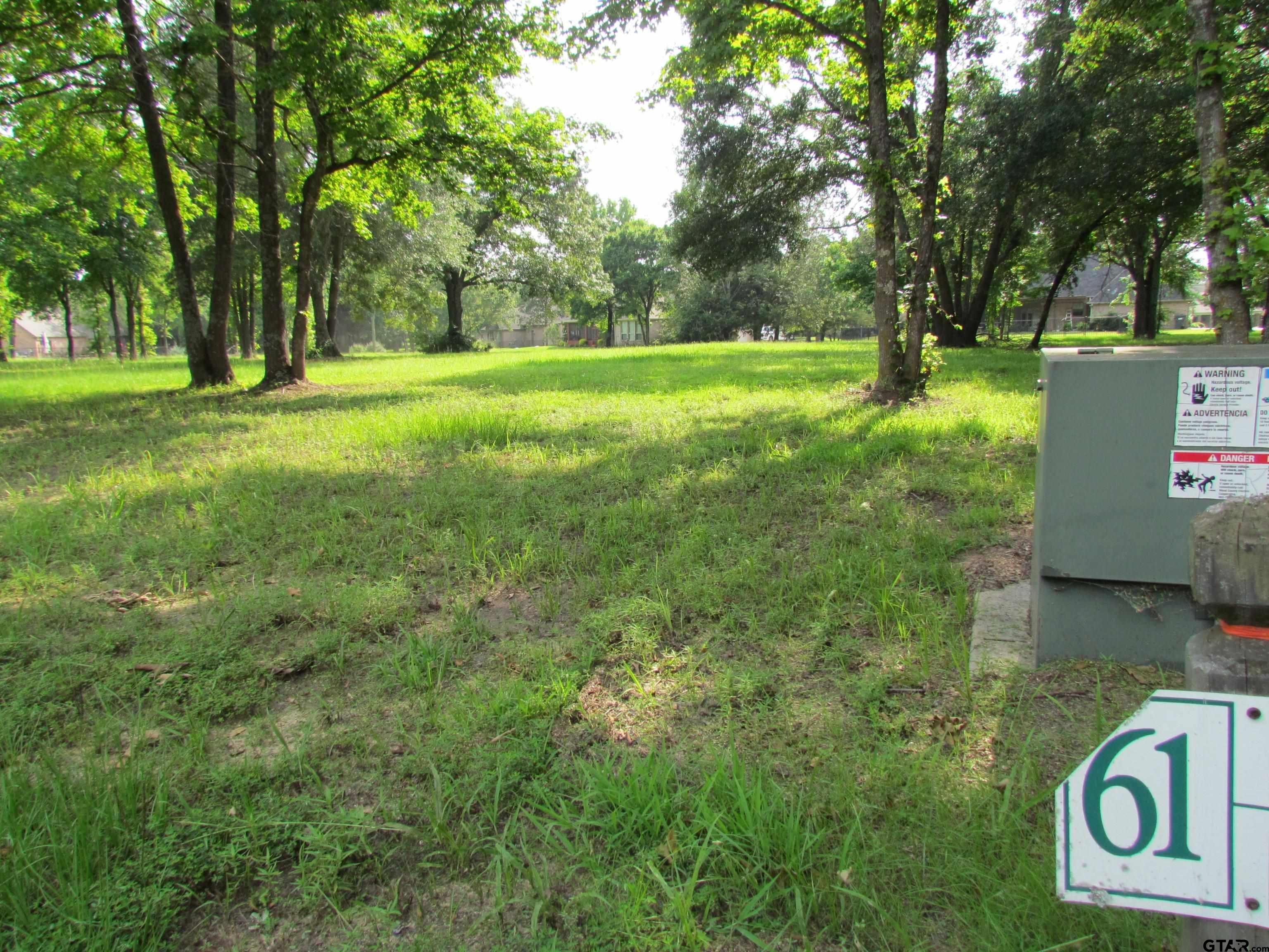 Lot 61 Pr 5943, Yantis, Texas image 1