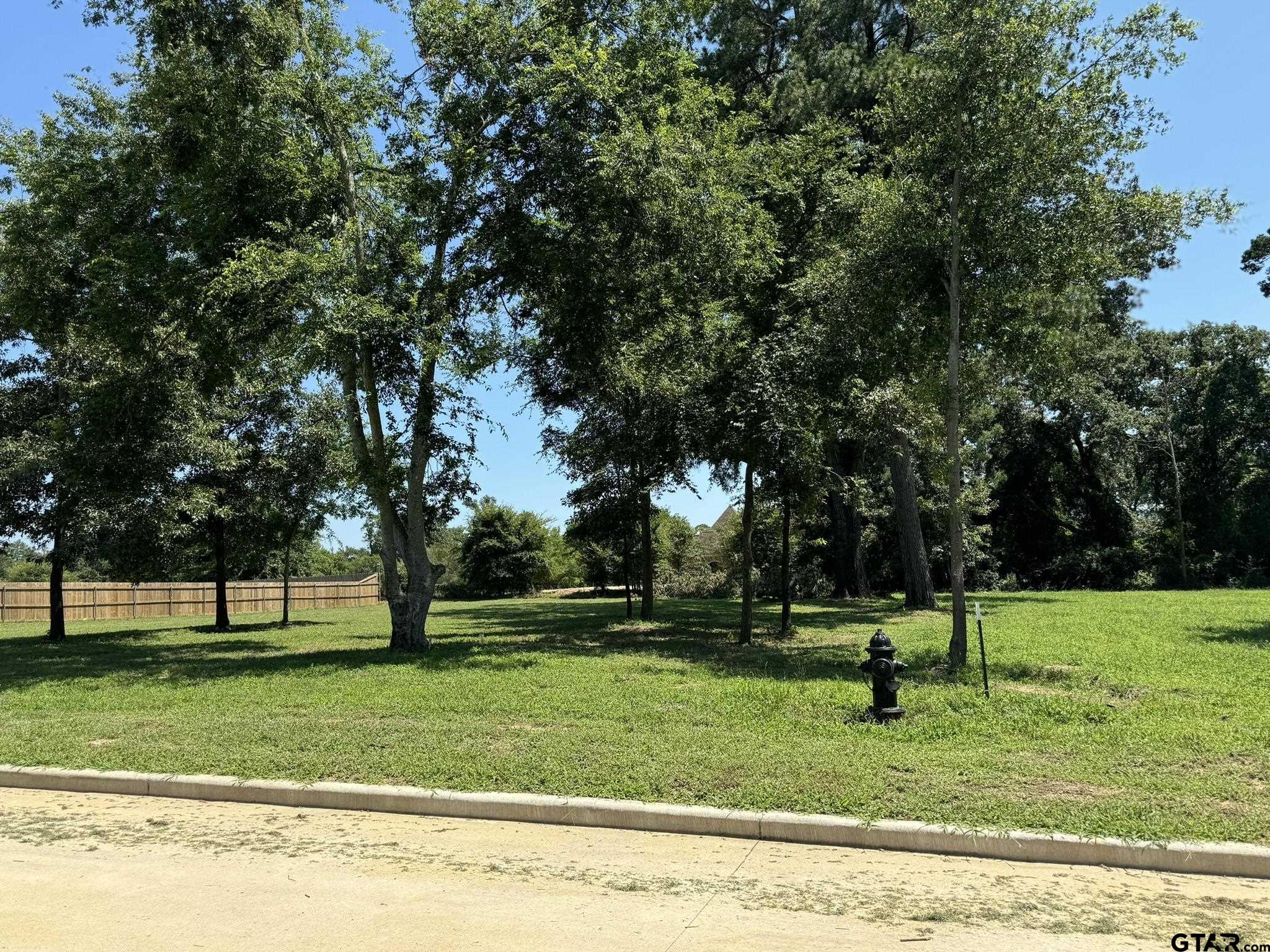 305 White-n-gail Ln, Bullard, Texas image 2