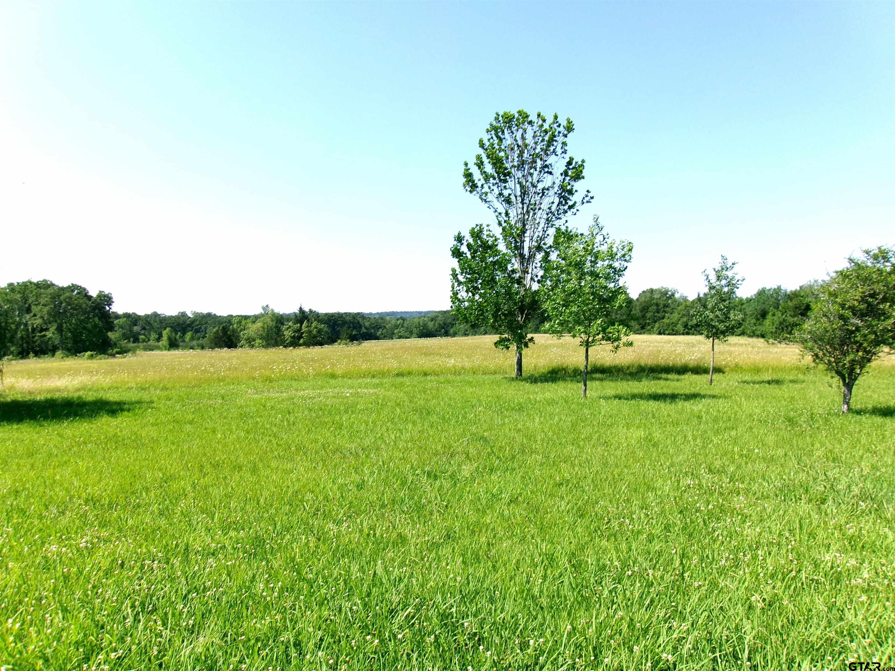 9118 E Hwy 82, Annona, Texas image 26