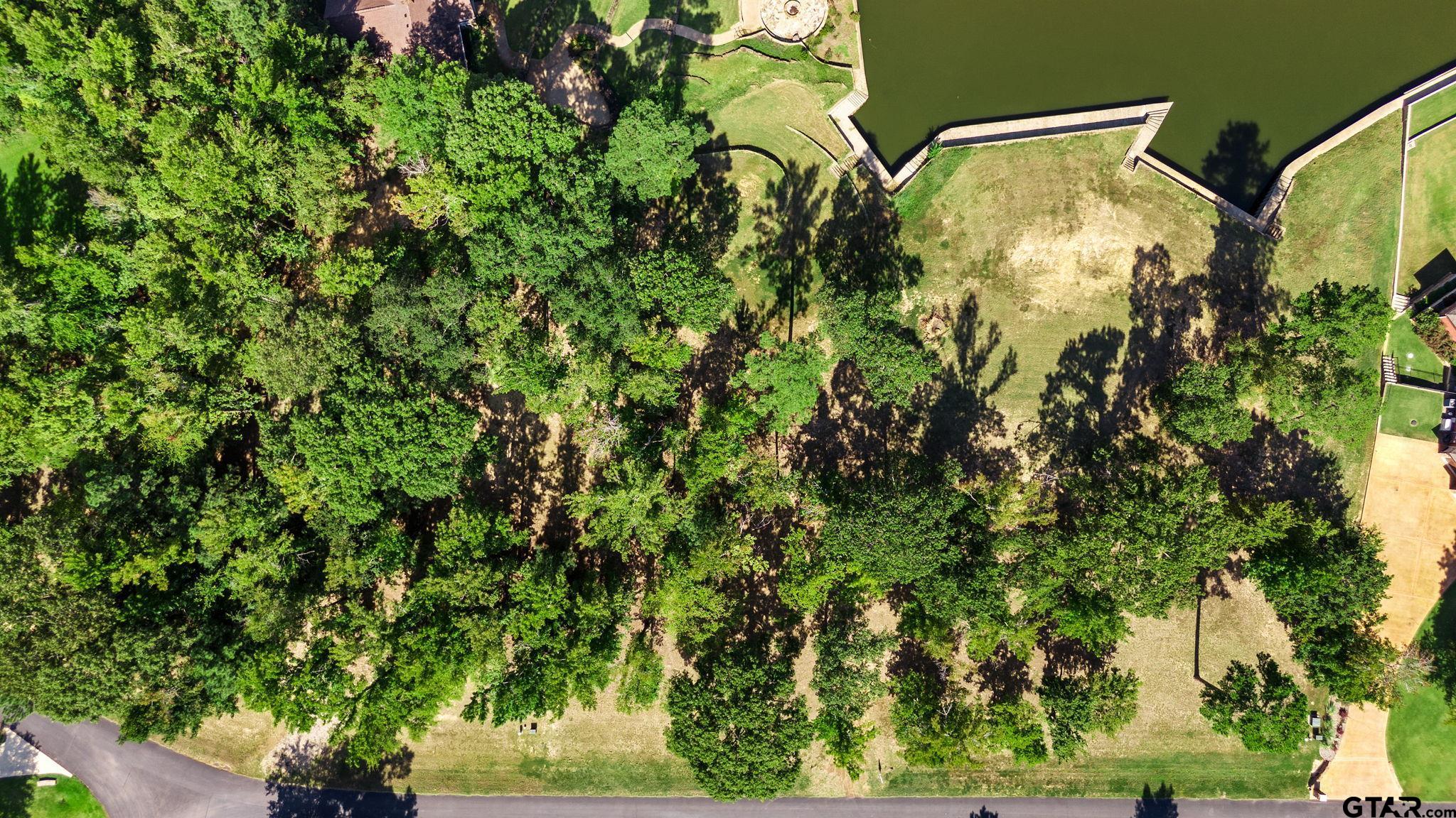 TBD (Lot 38) Nathan Dr., Chandler, Texas image 3