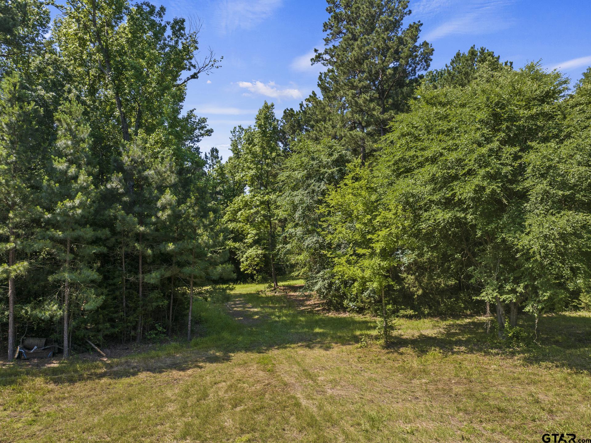 2279 W Hwy 11, Daingerfield, Texas image 37