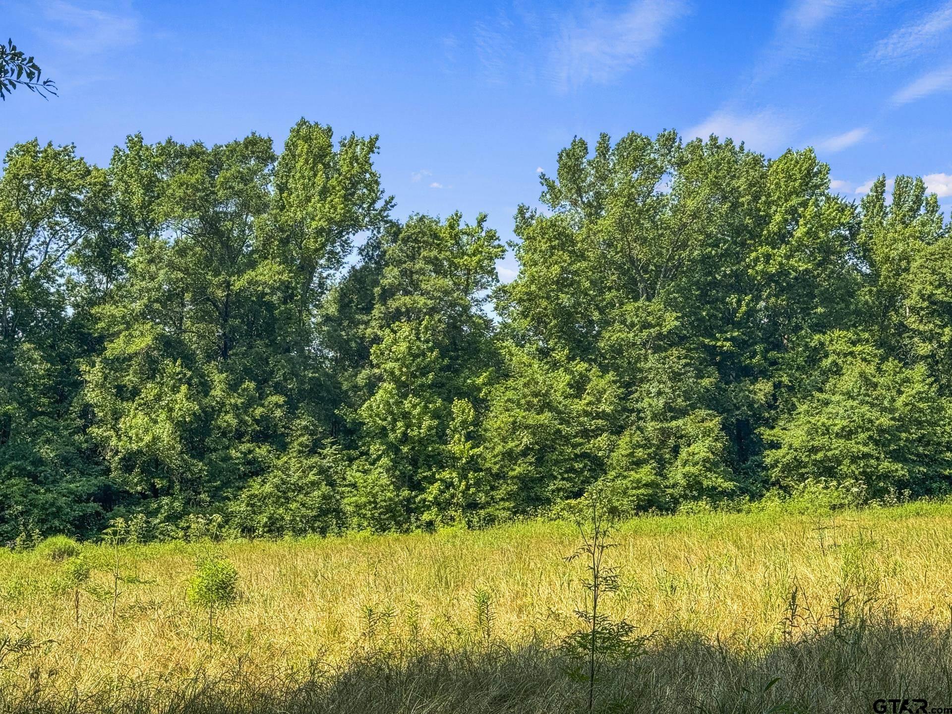 2279 W Hwy 11, Daingerfield, Texas image 38