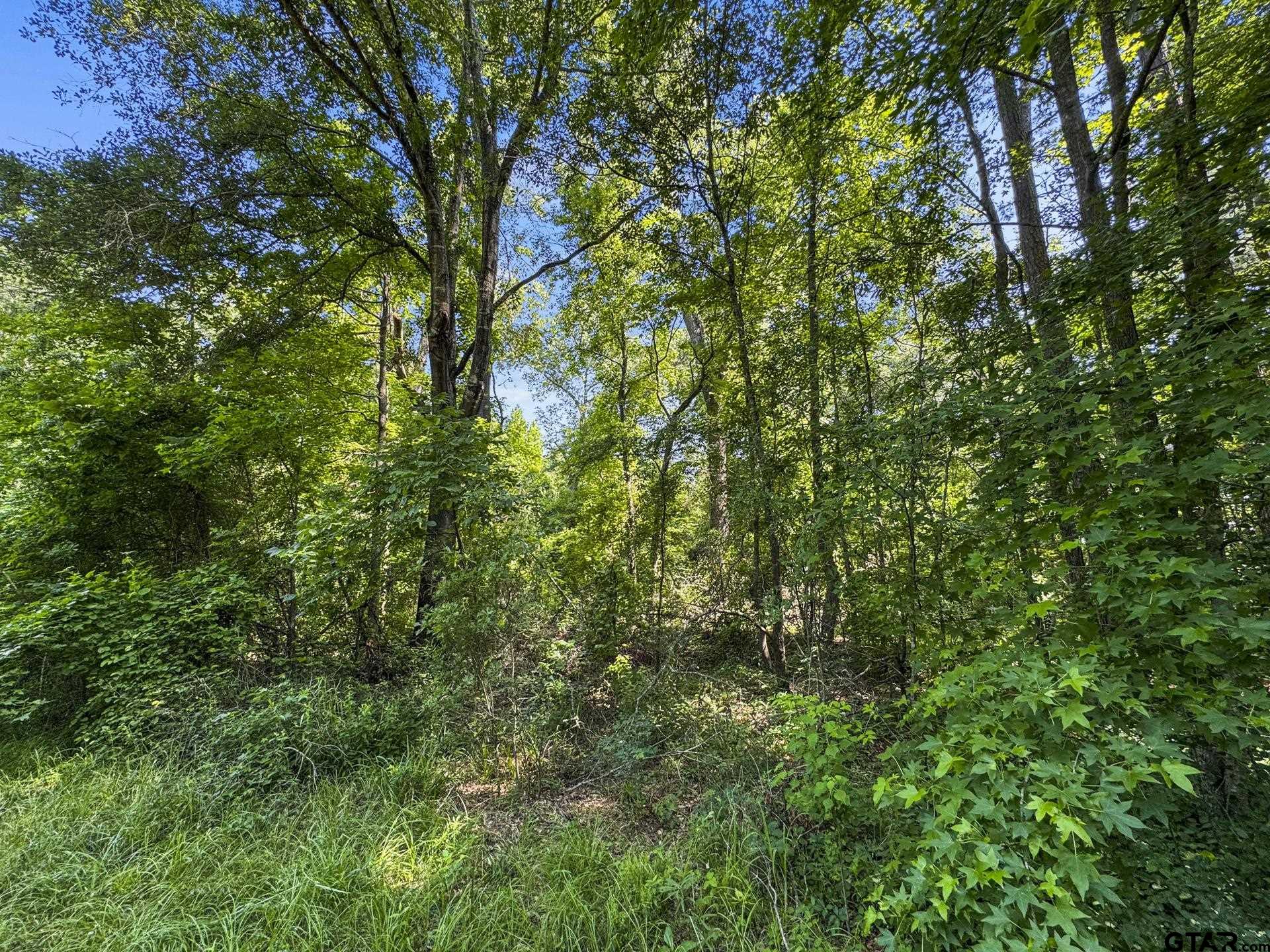 2279 W Hwy 11, Daingerfield, Texas image 39