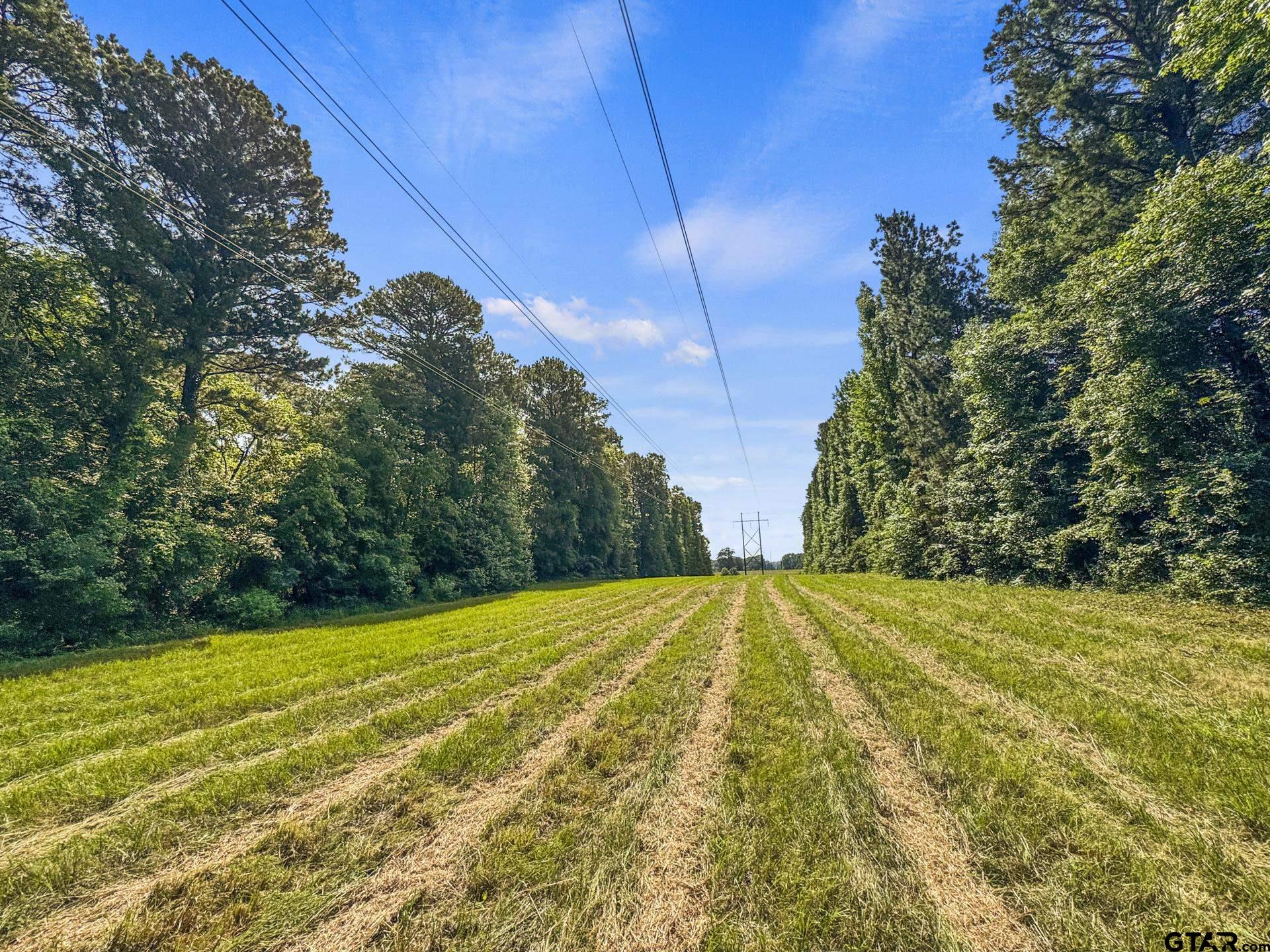 2279 W Hwy 11, Daingerfield, Texas image 42