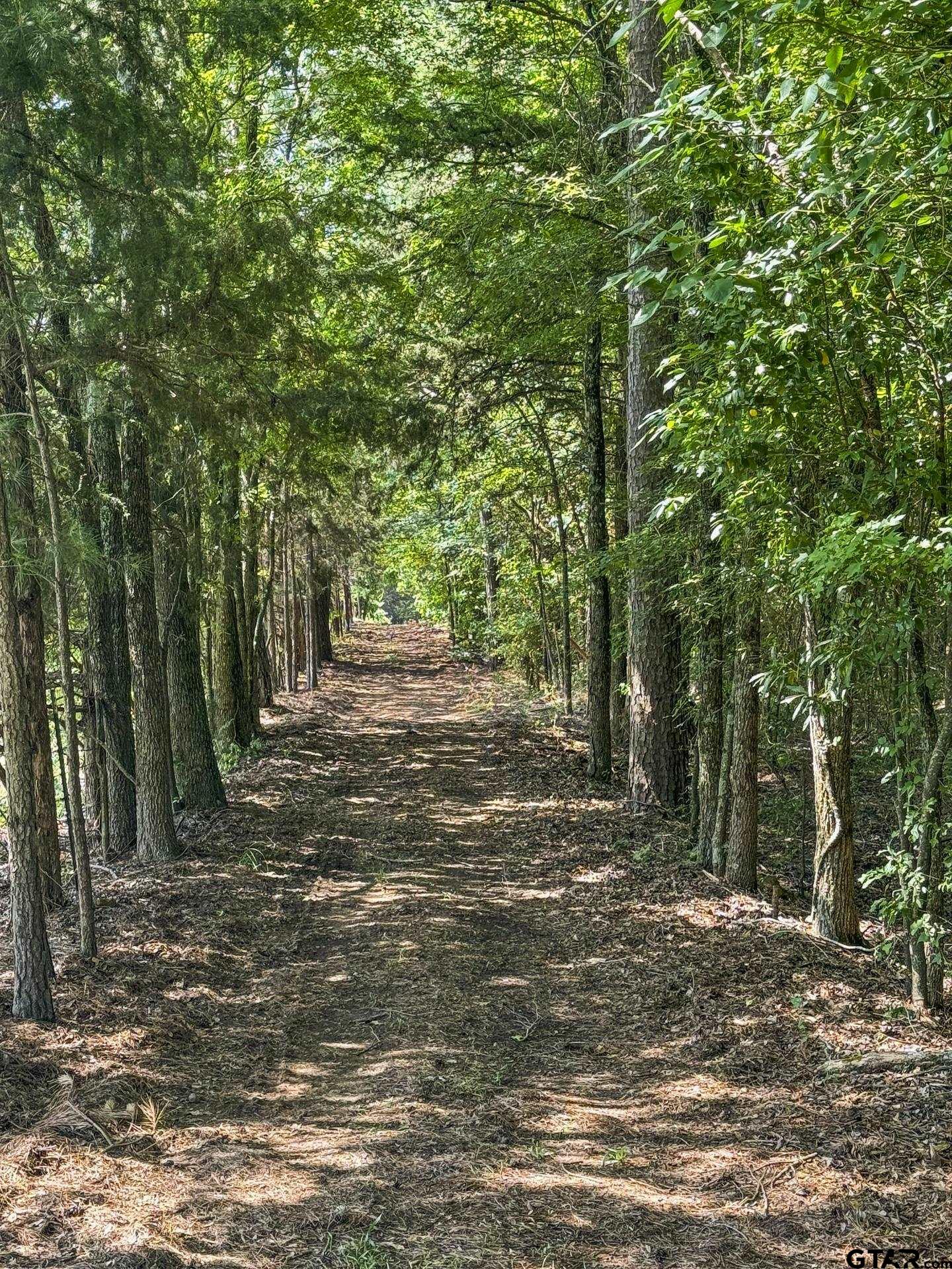 2279 W Hwy 11, Daingerfield, Texas image 44