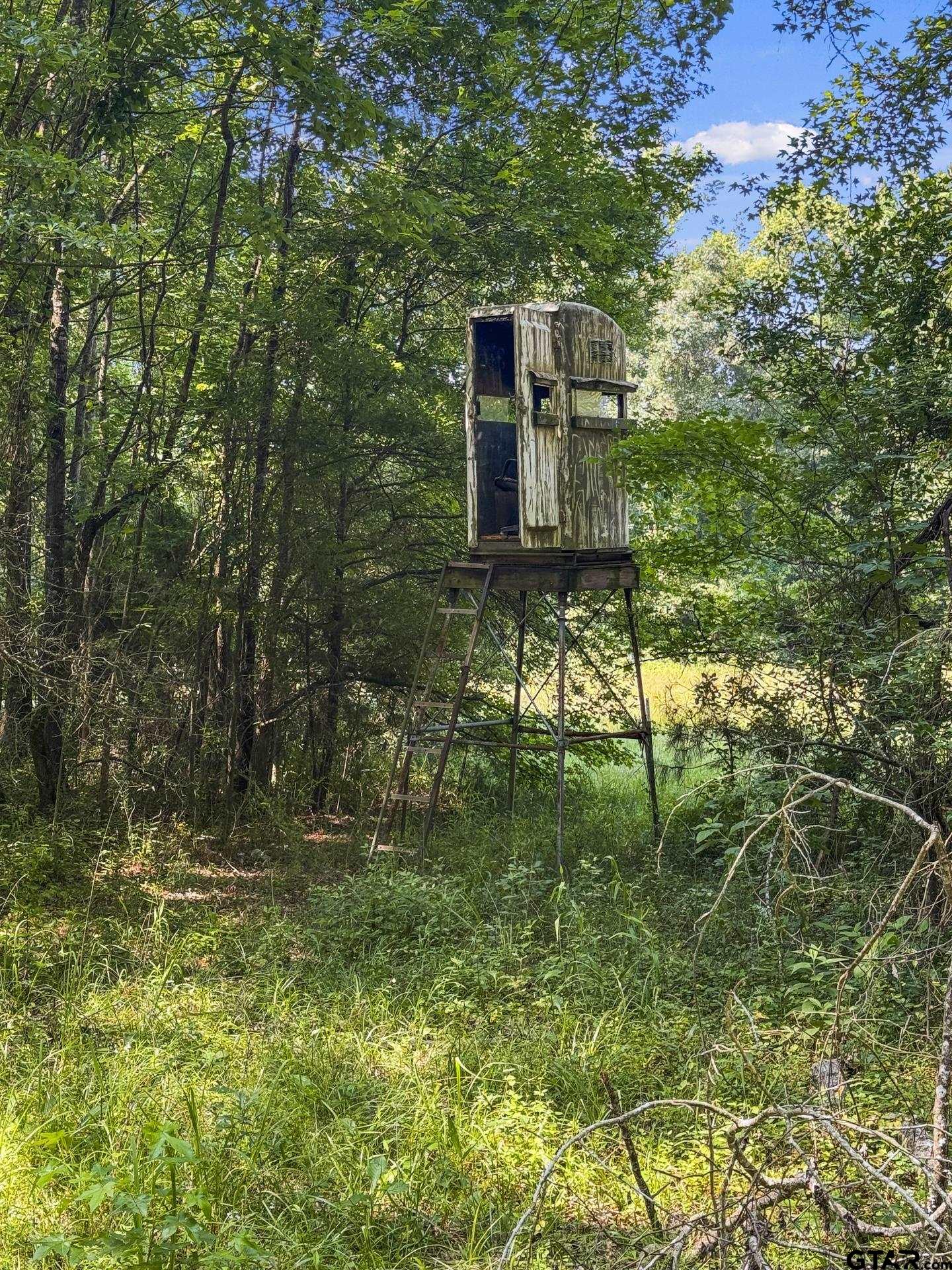 2279 W Hwy 11, Daingerfield, Texas image 45