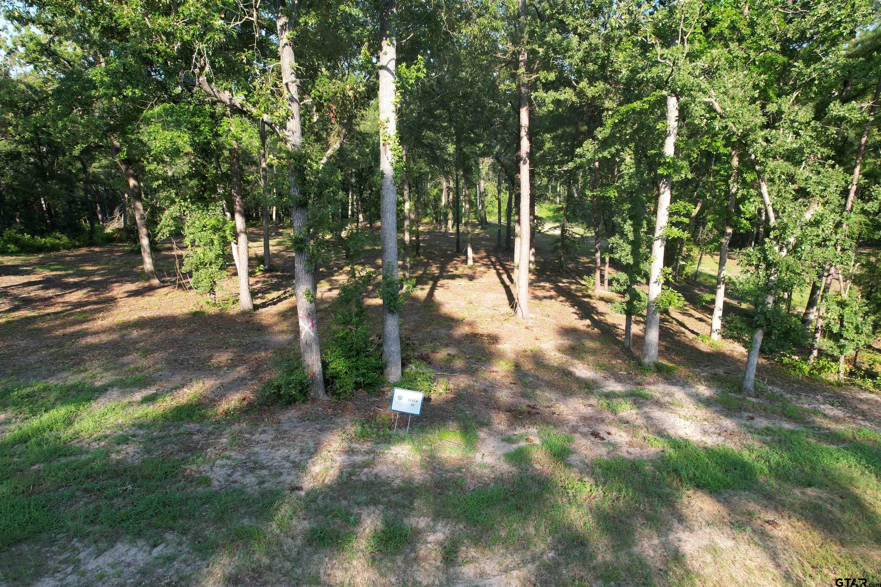 3226 Shadow Pine Dr, LaRue, Texas image 2