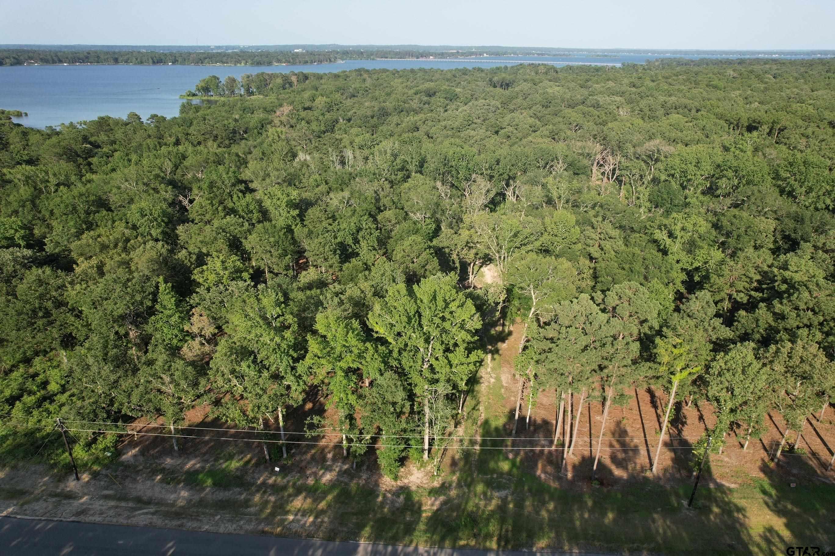 3226 Shadow Pine Dr, LaRue, Texas image 3