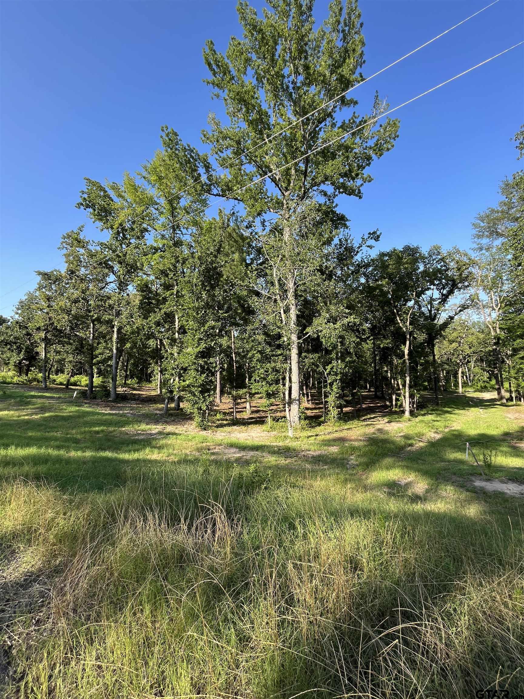 3226 Shadow Pine Dr, LaRue, Texas image 6