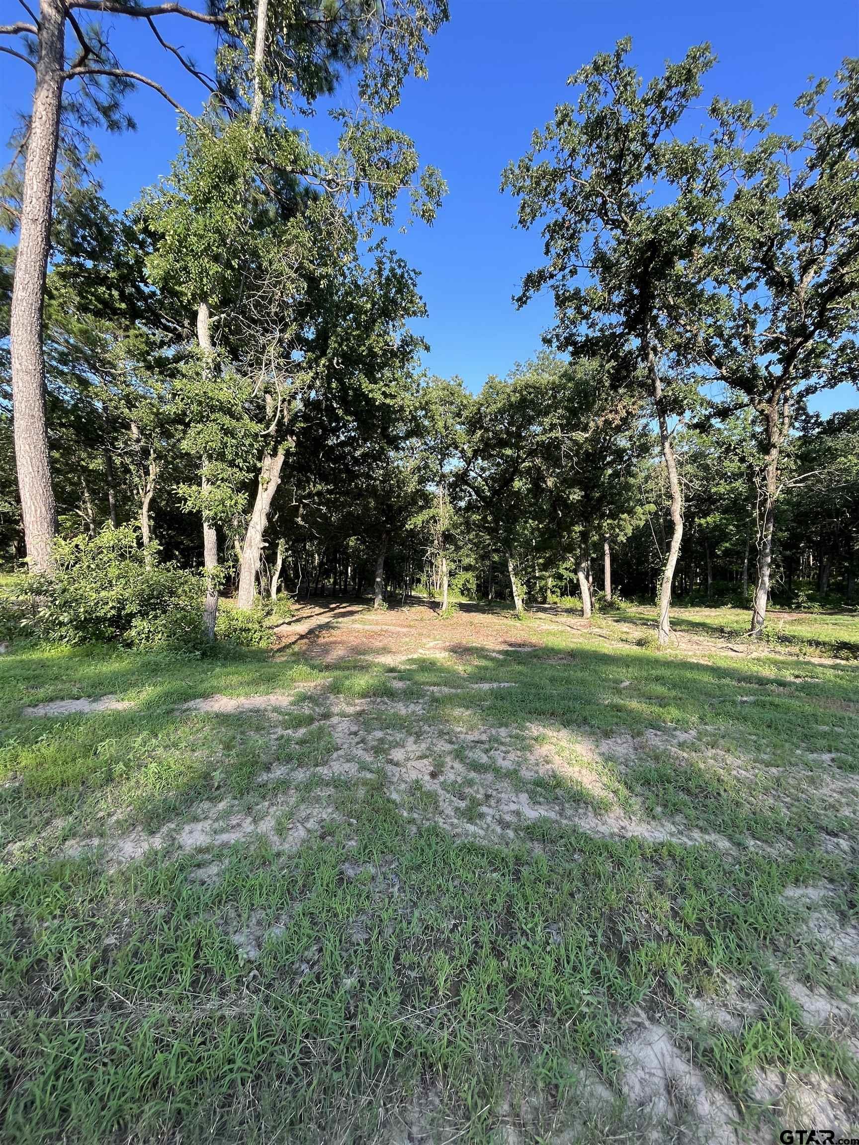 3226 Shadow Pine Dr, LaRue, Texas image 7