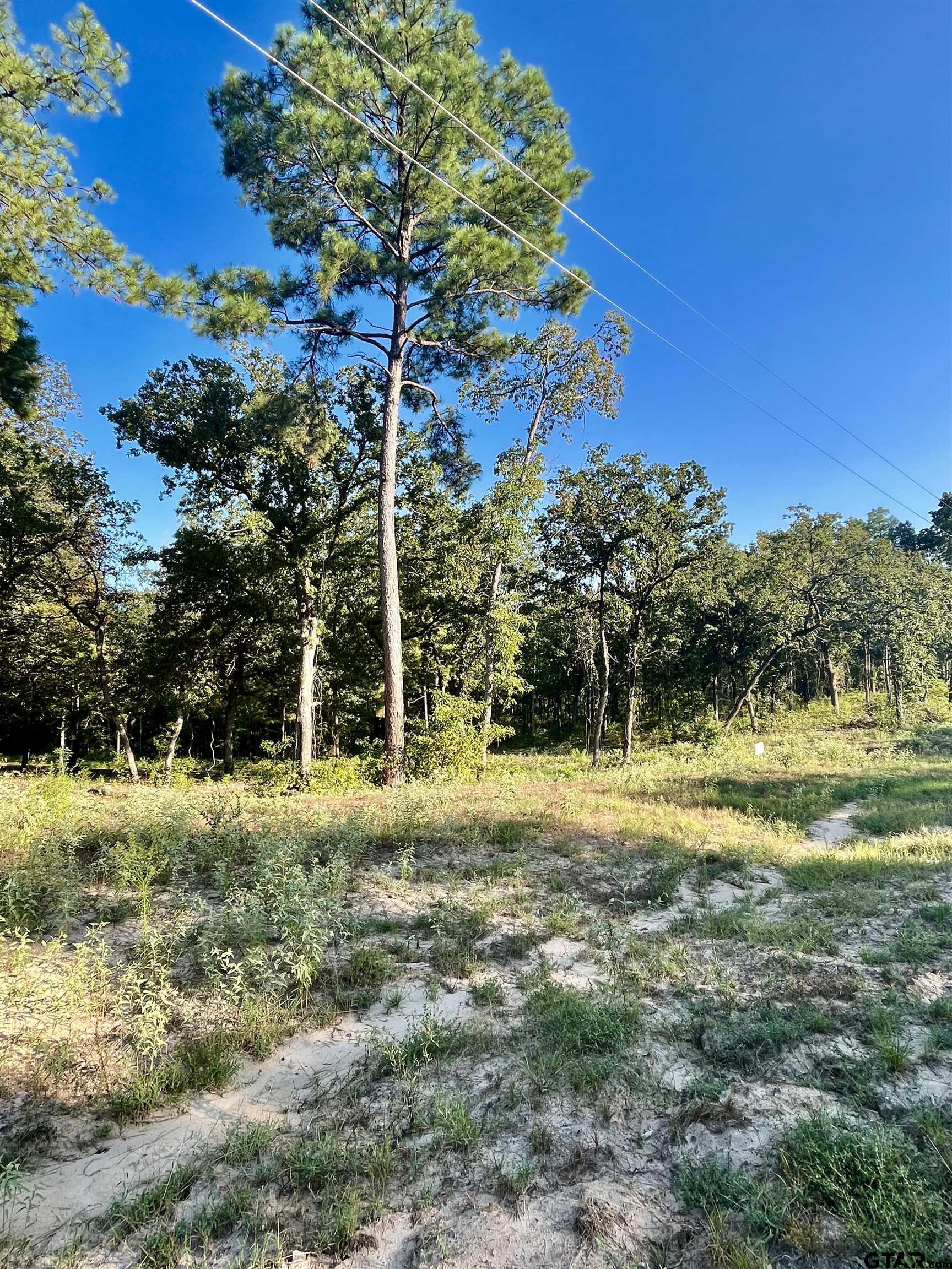 3226 Shadow Pine Dr, LaRue, Texas image 8