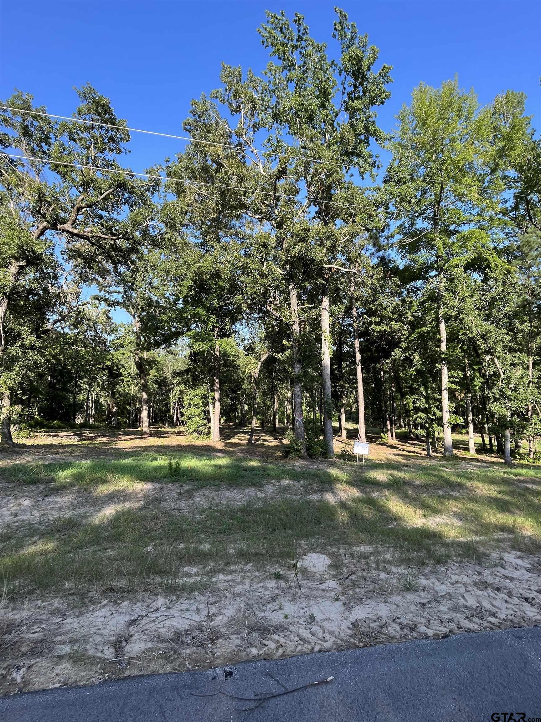 3226 Shadow Pine Dr, LaRue, Texas image 9