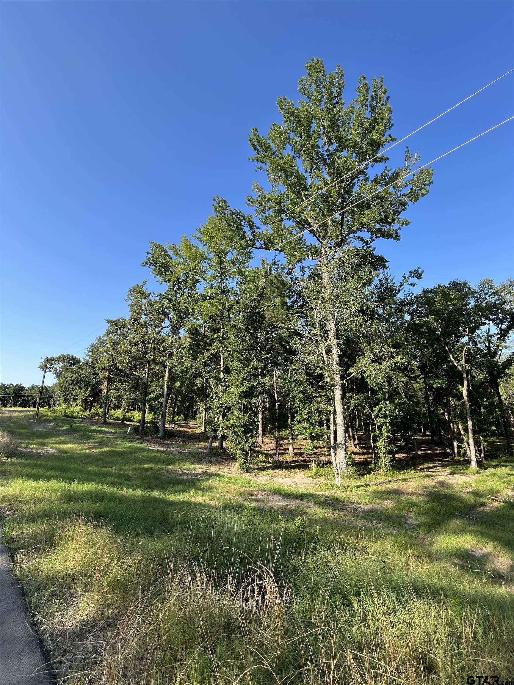 3226 Shadow Pine Dr, LaRue, Texas image 10
