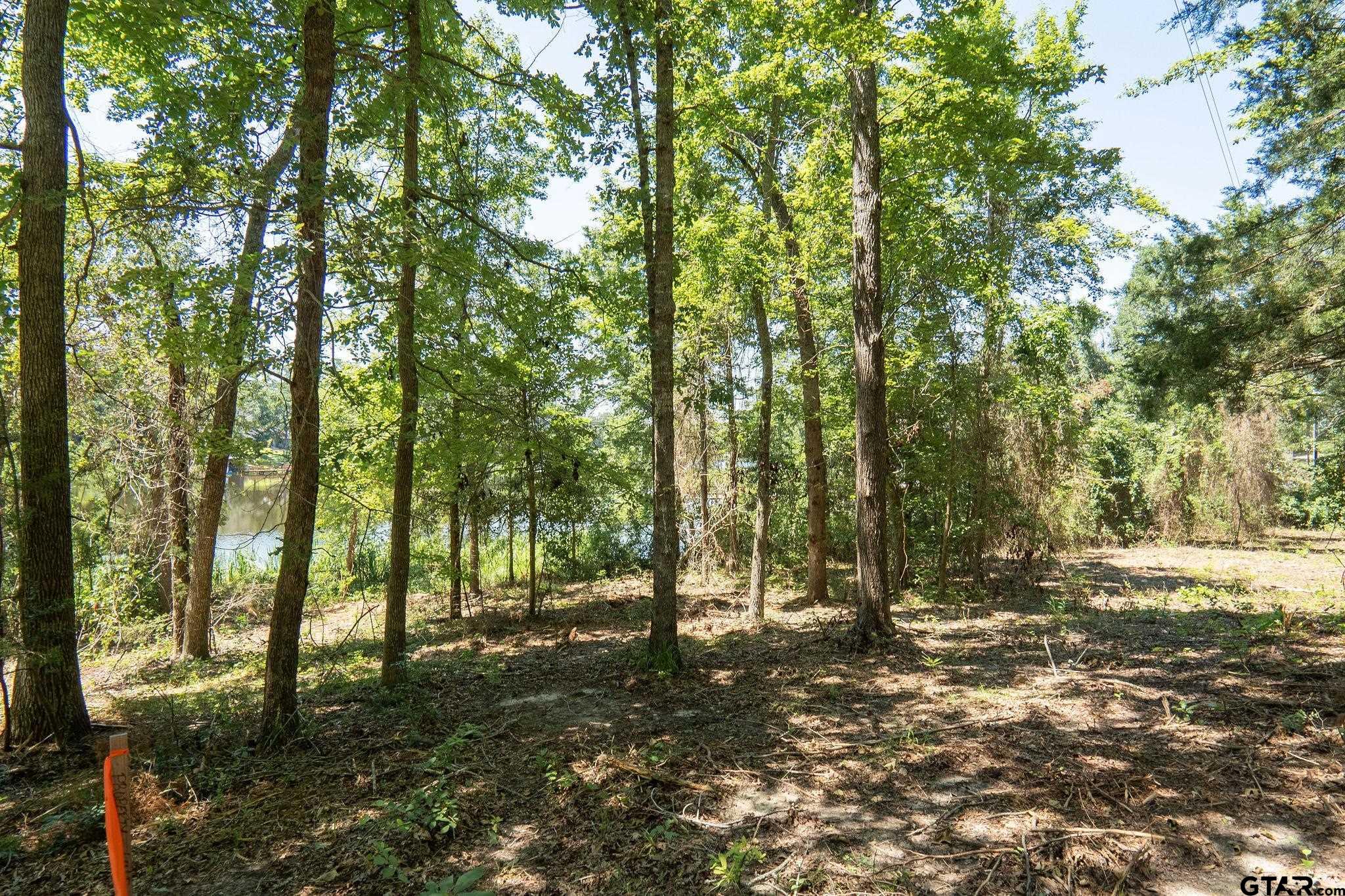 Lot 11 A The Thirteen Club, Tyler, Texas image 3