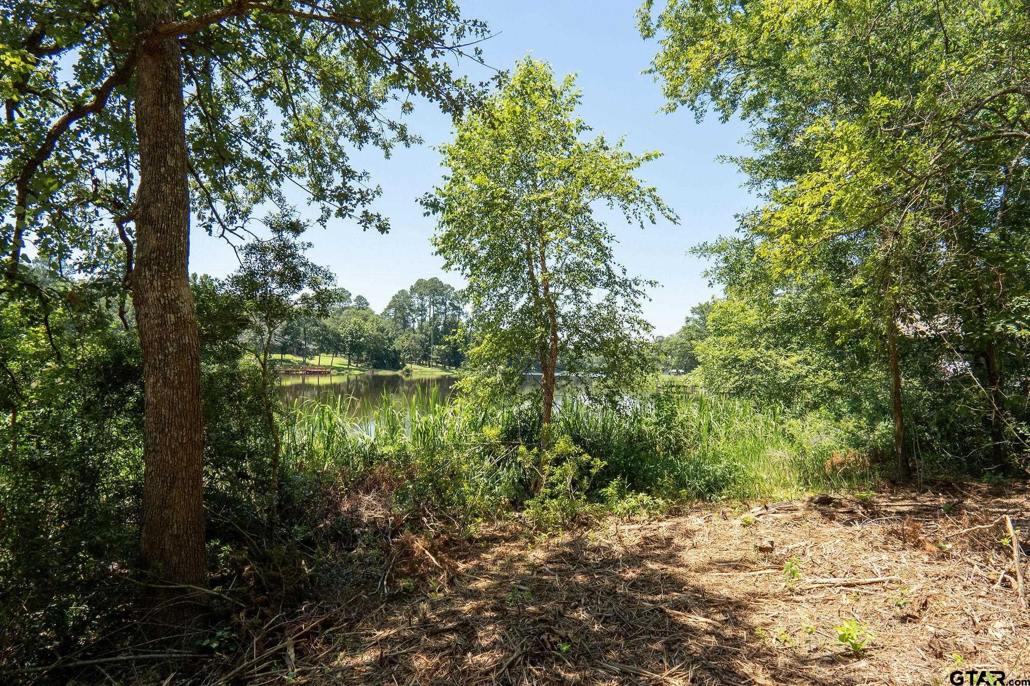 Lot 11 A The Thirteen Club, Tyler, Texas image 5