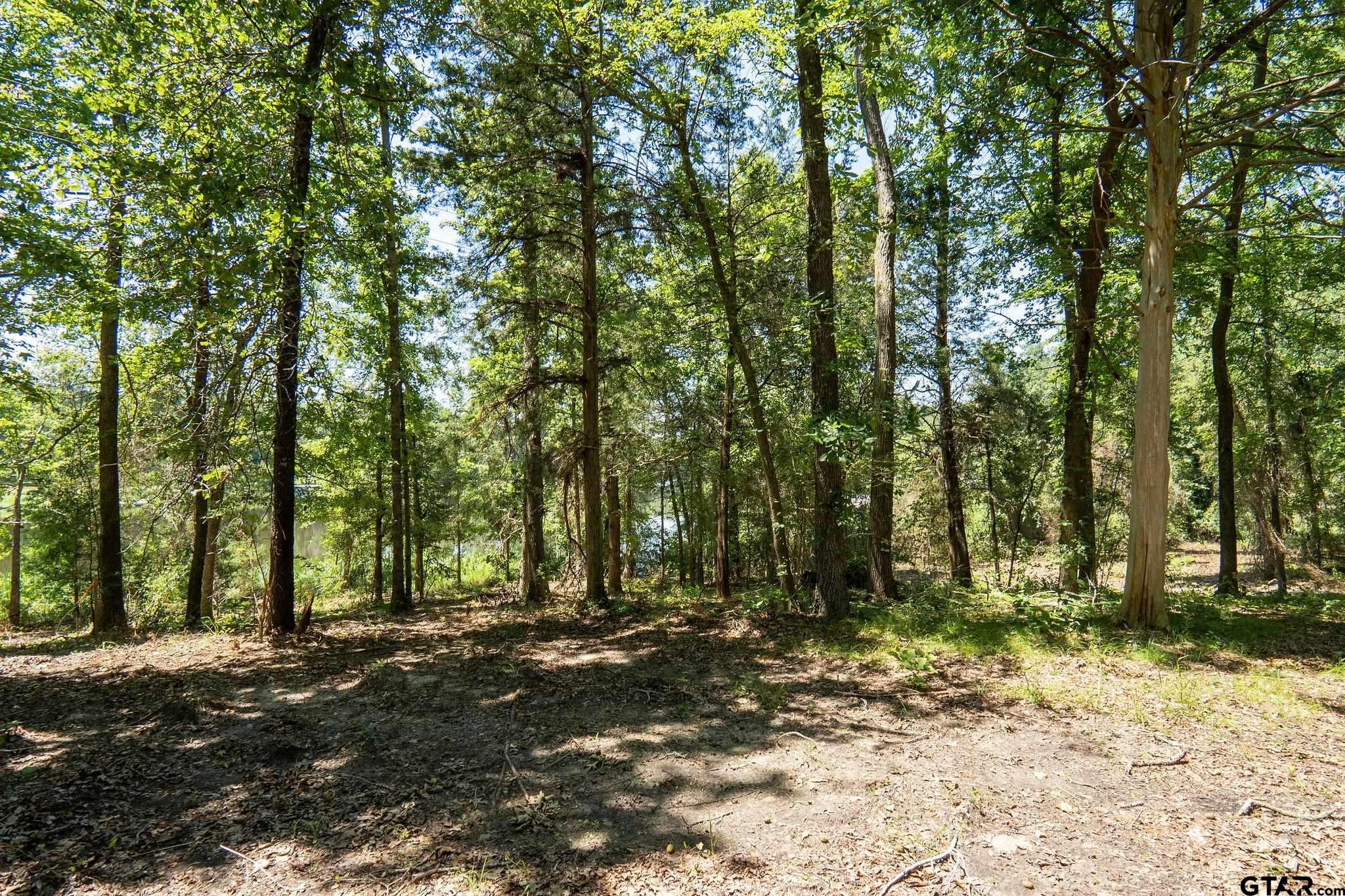 Lot 11 A The Thirteen Club, Tyler, Texas image 6