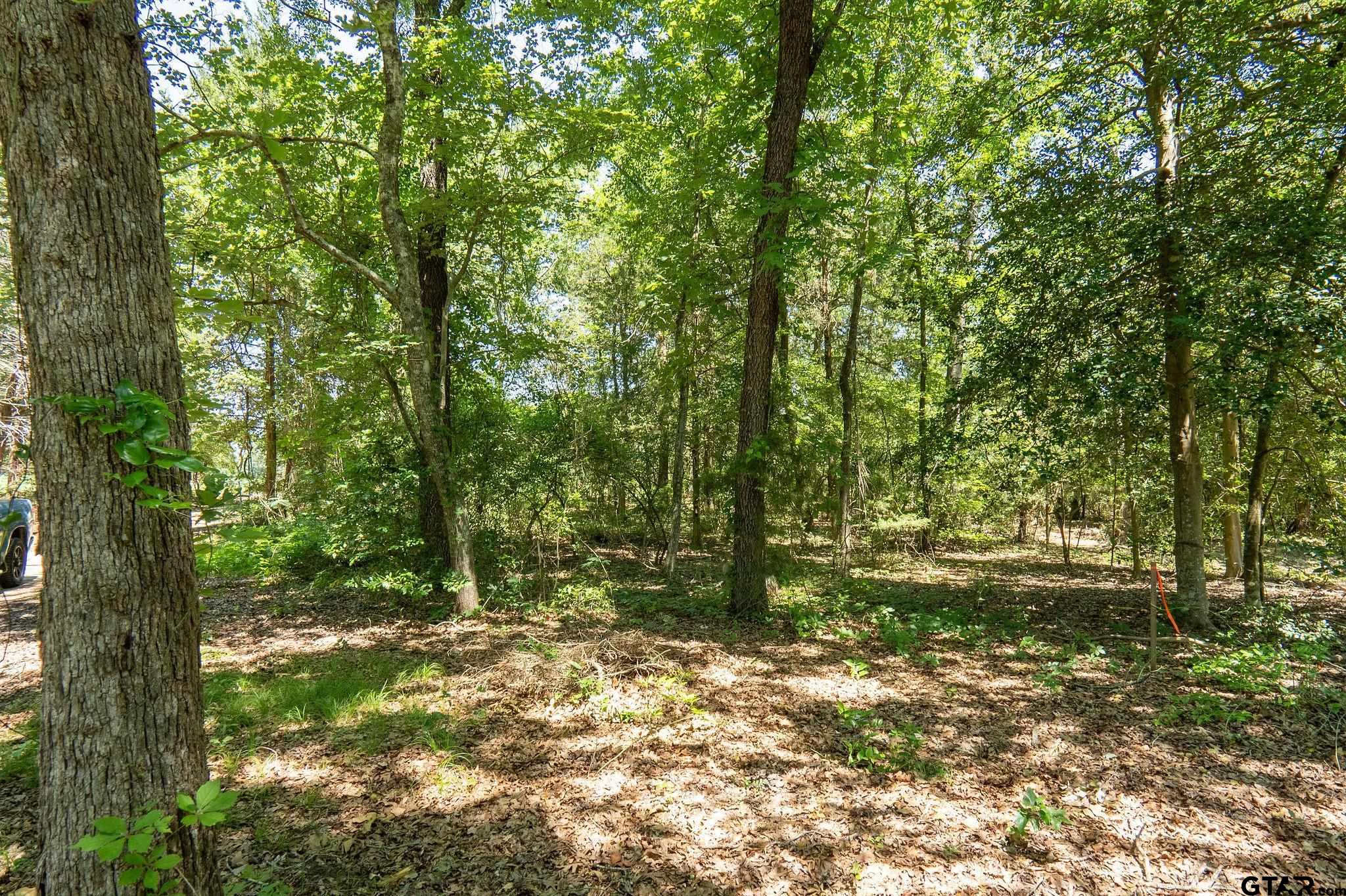 Lot 11 A The Thirteen Club, Tyler, Texas image 8