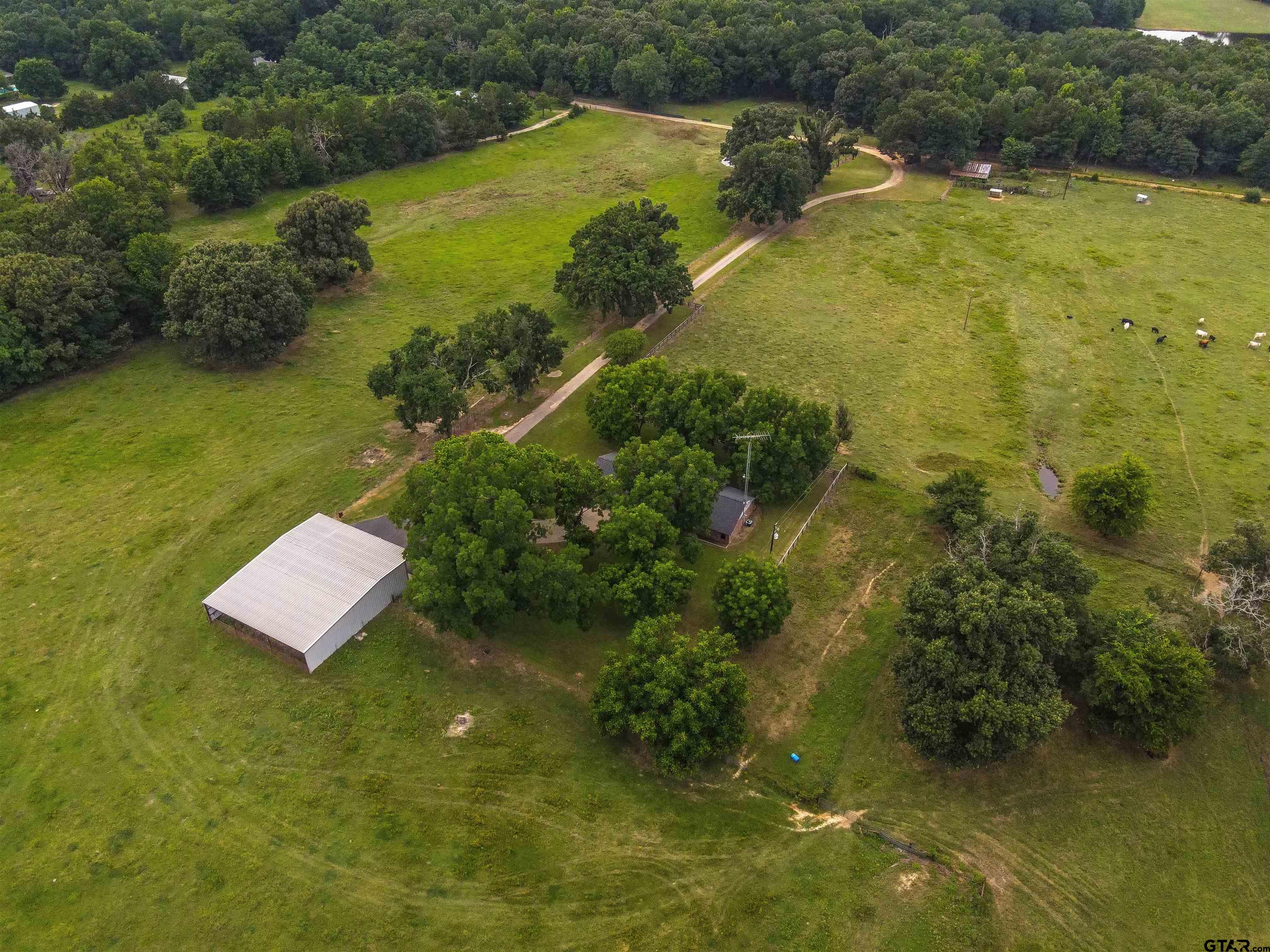 16388 Cr 3419, Brownsboro, Texas image 27