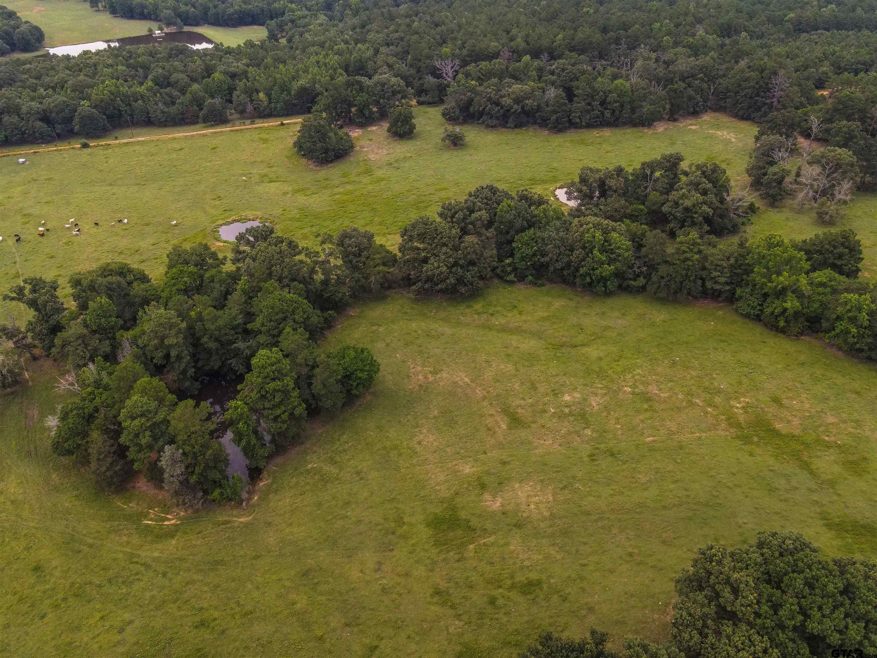 16388 Cr 3419, Brownsboro, Texas image 28