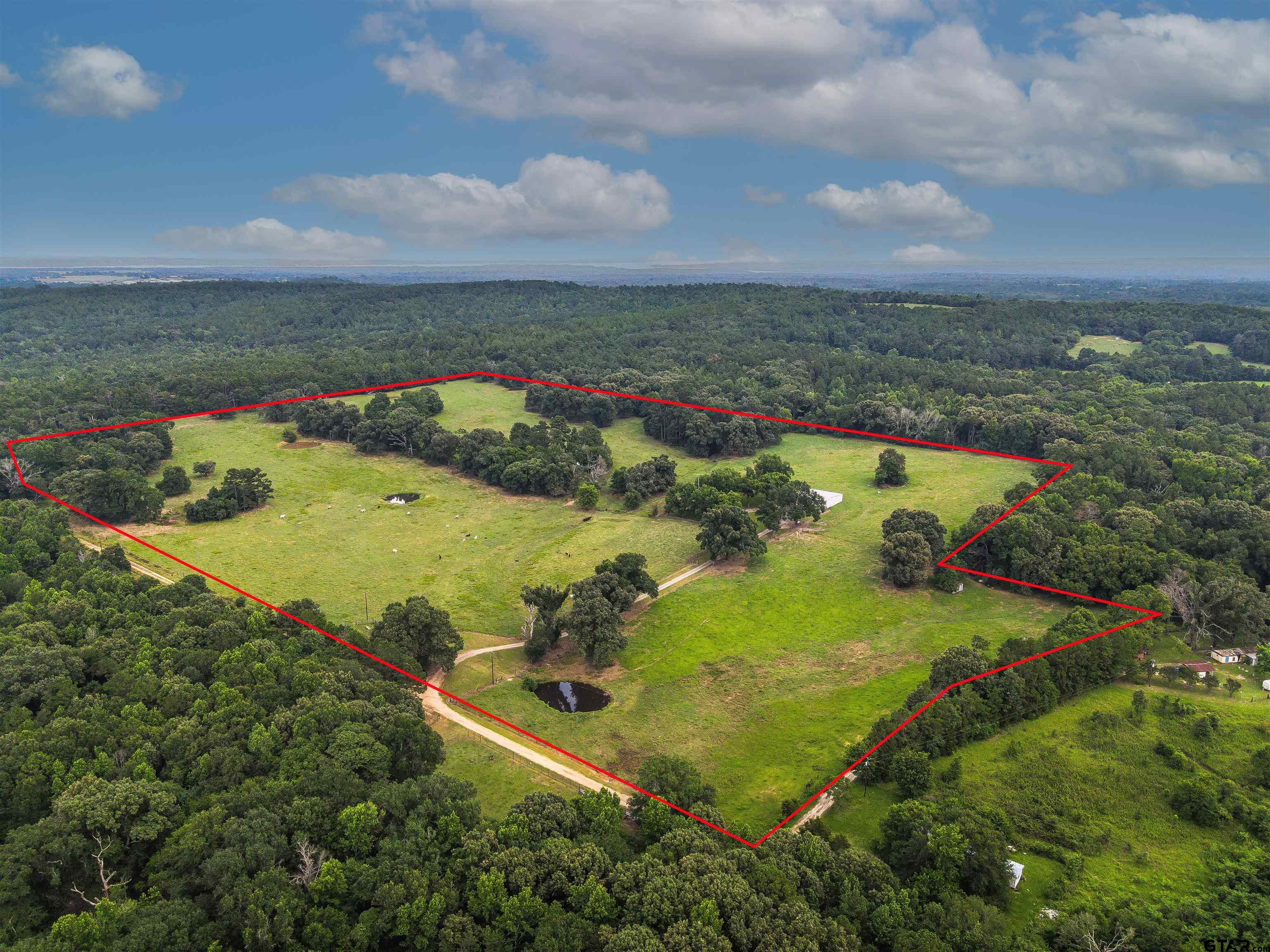 16388 Cr 3419, Brownsboro, Texas image 35