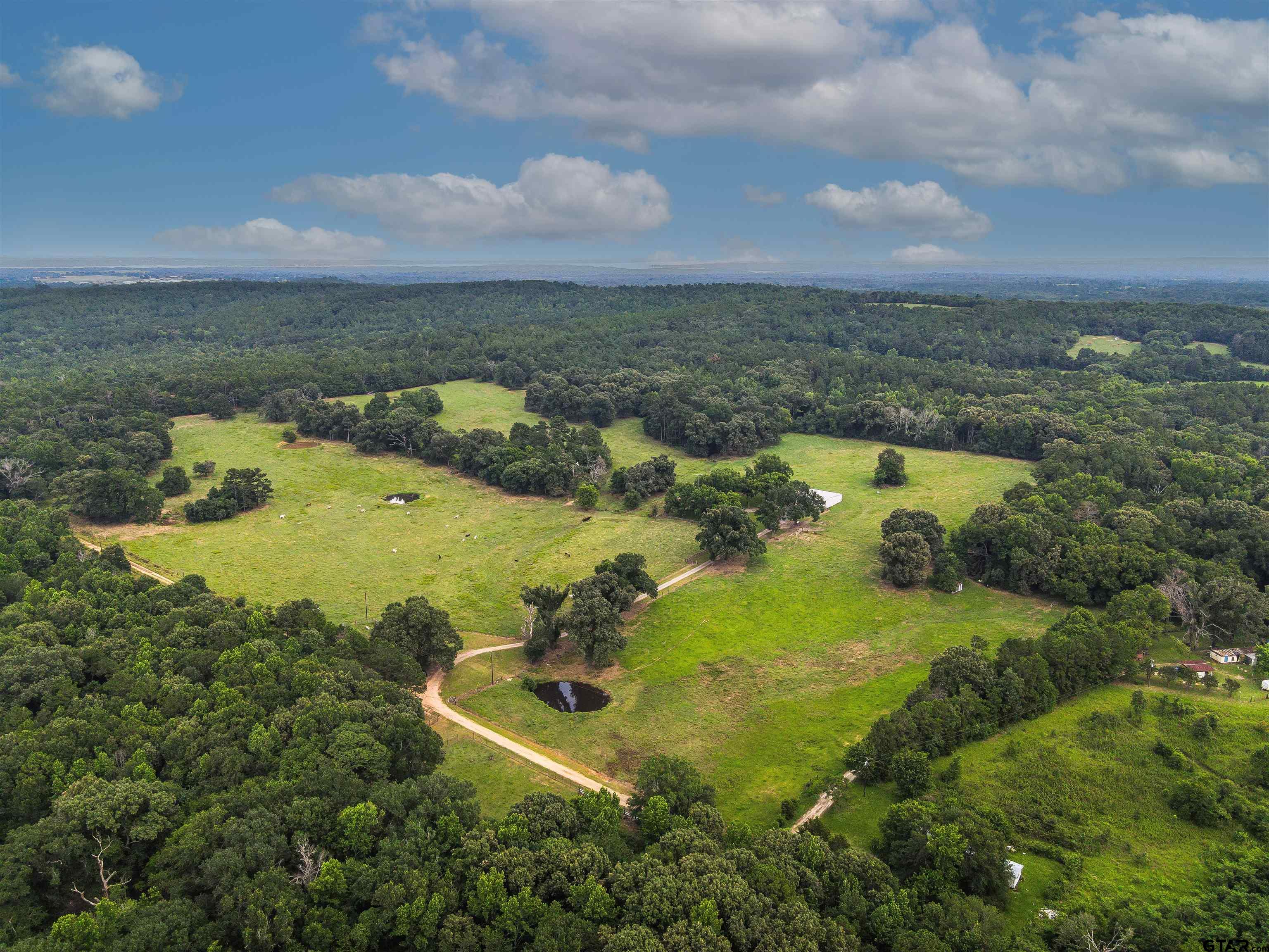 16388 Cr 3419, Brownsboro, Texas image 40
