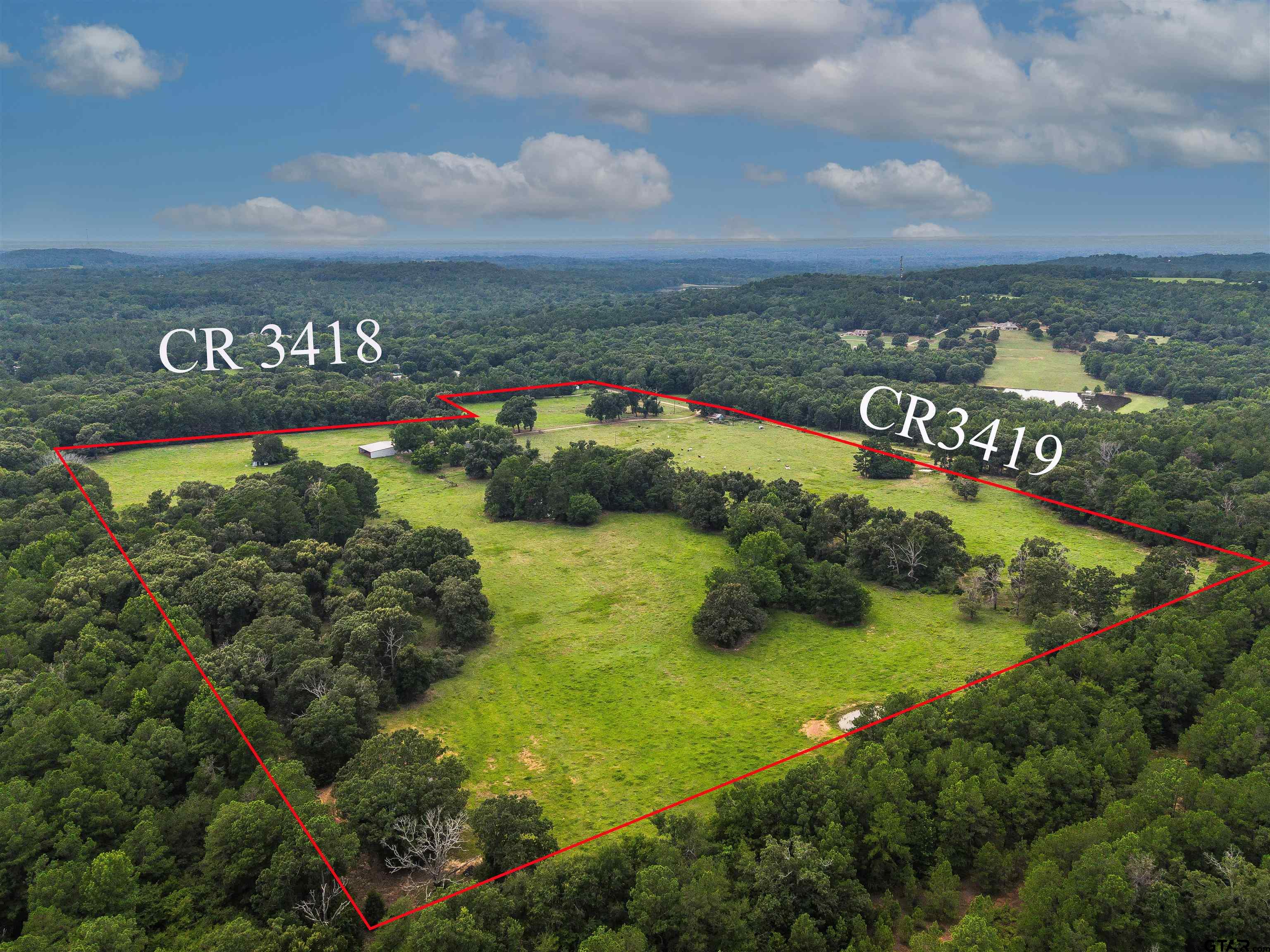 16388 Cr 3419, Brownsboro, Texas image 43