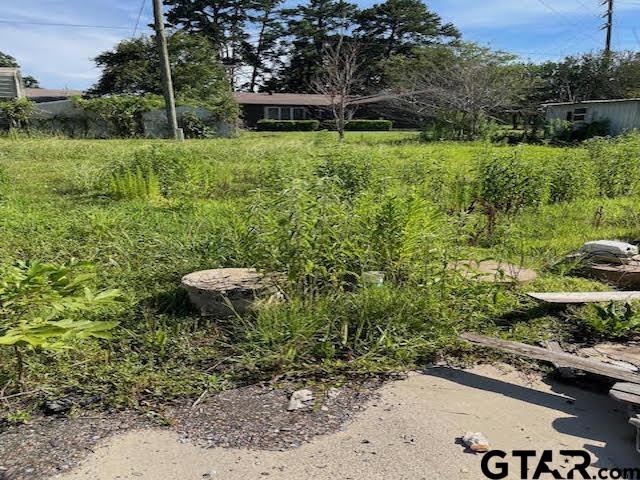 106 Royal St, Gilmer, Texas image 14