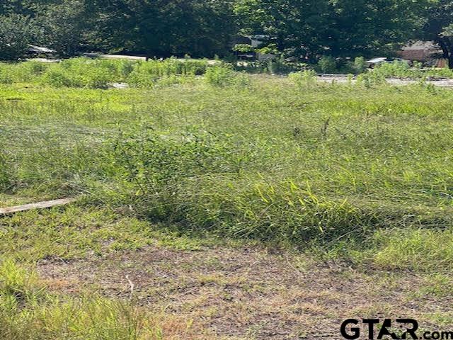 106 Royal St, Gilmer, Texas image 20