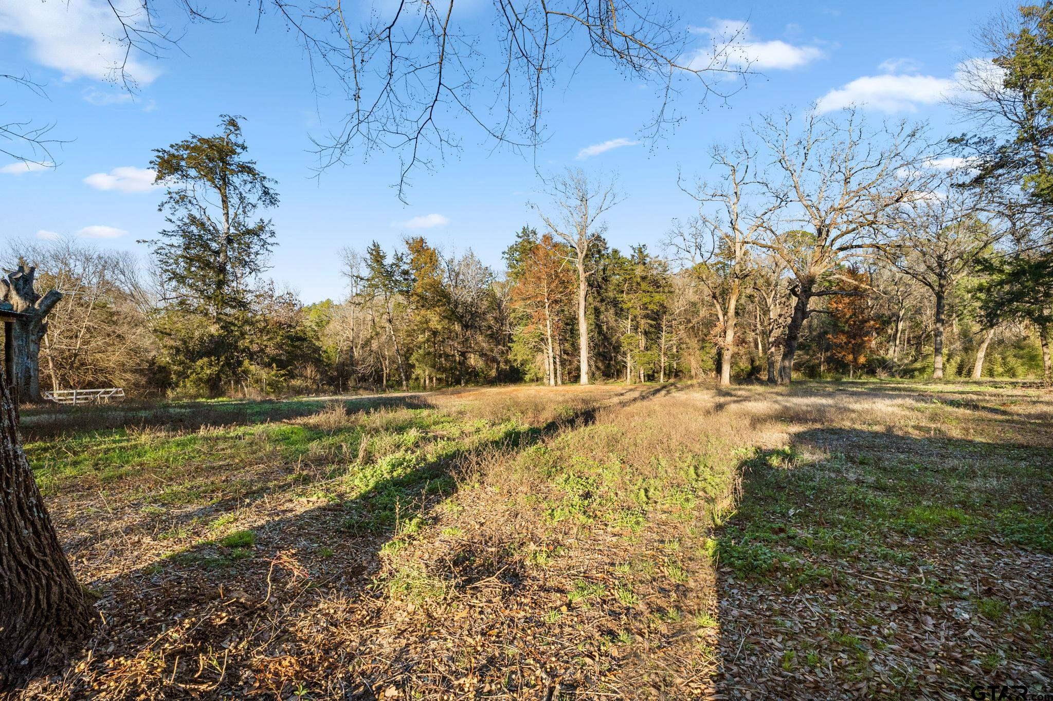 22643 County Road 2138, Troup, Texas image 34