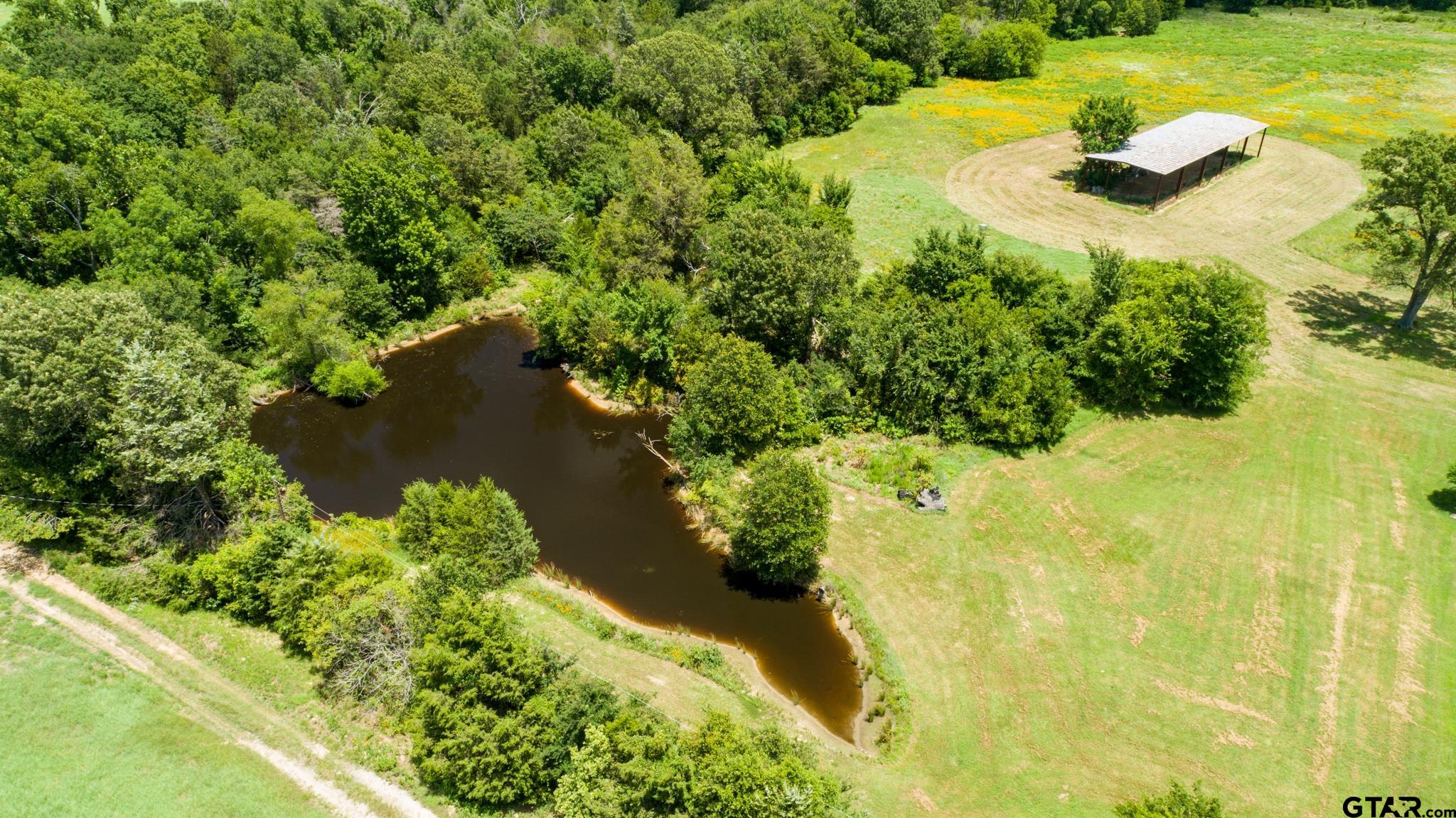 360 Vz County Road 4405, Ben Wheeler, Texas image 38