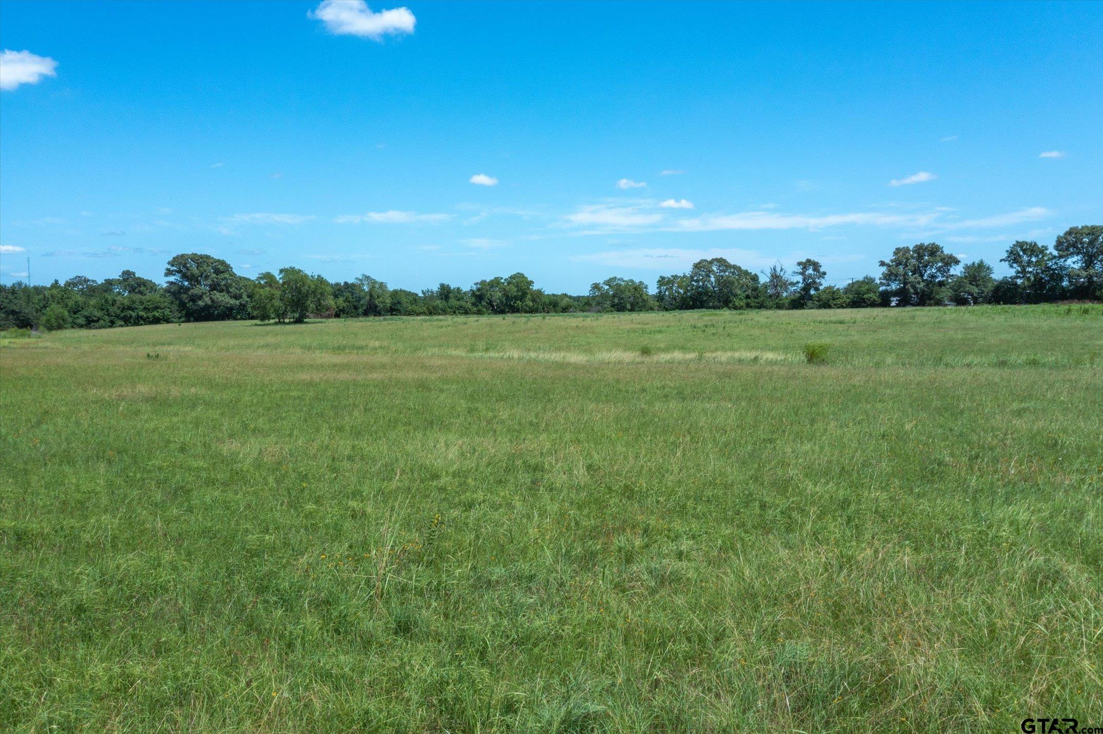 Tract 1 Oklahoma Street, Van, Texas image 21