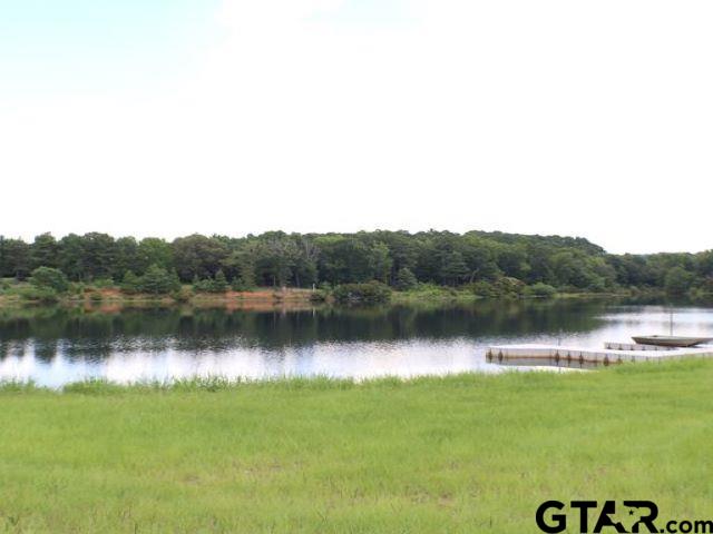 Lot 30 Acr 453, Montalba, Texas image 13