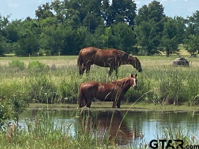 Lot 33 Acr 453, Montalba, Texas image 10