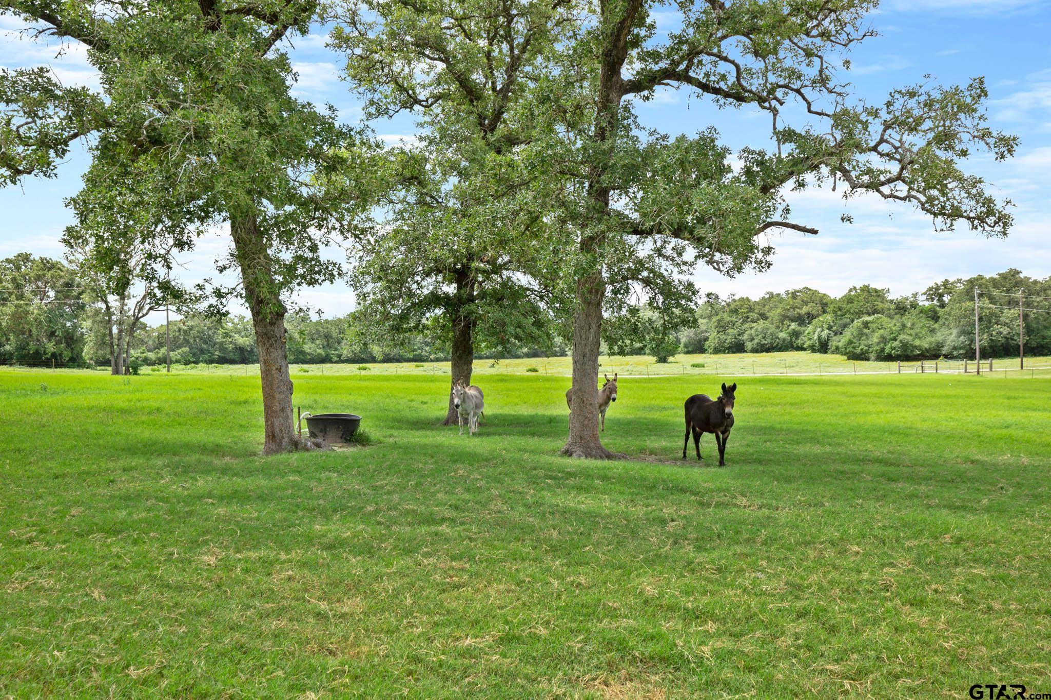 3306 S Us Hwy 36, Milano, Texas image 42