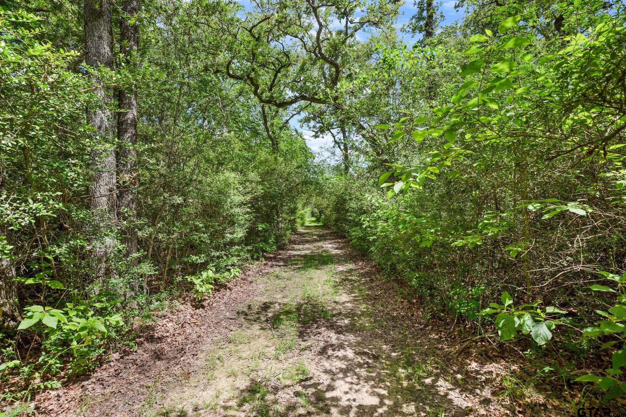3306 S Us Hwy 36, Milano, Texas image 47