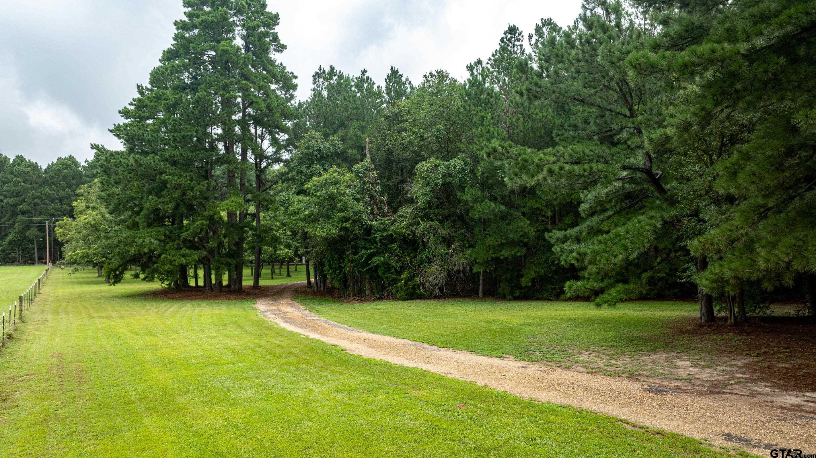 314 Cr 4649, Winnsboro, Texas image 3