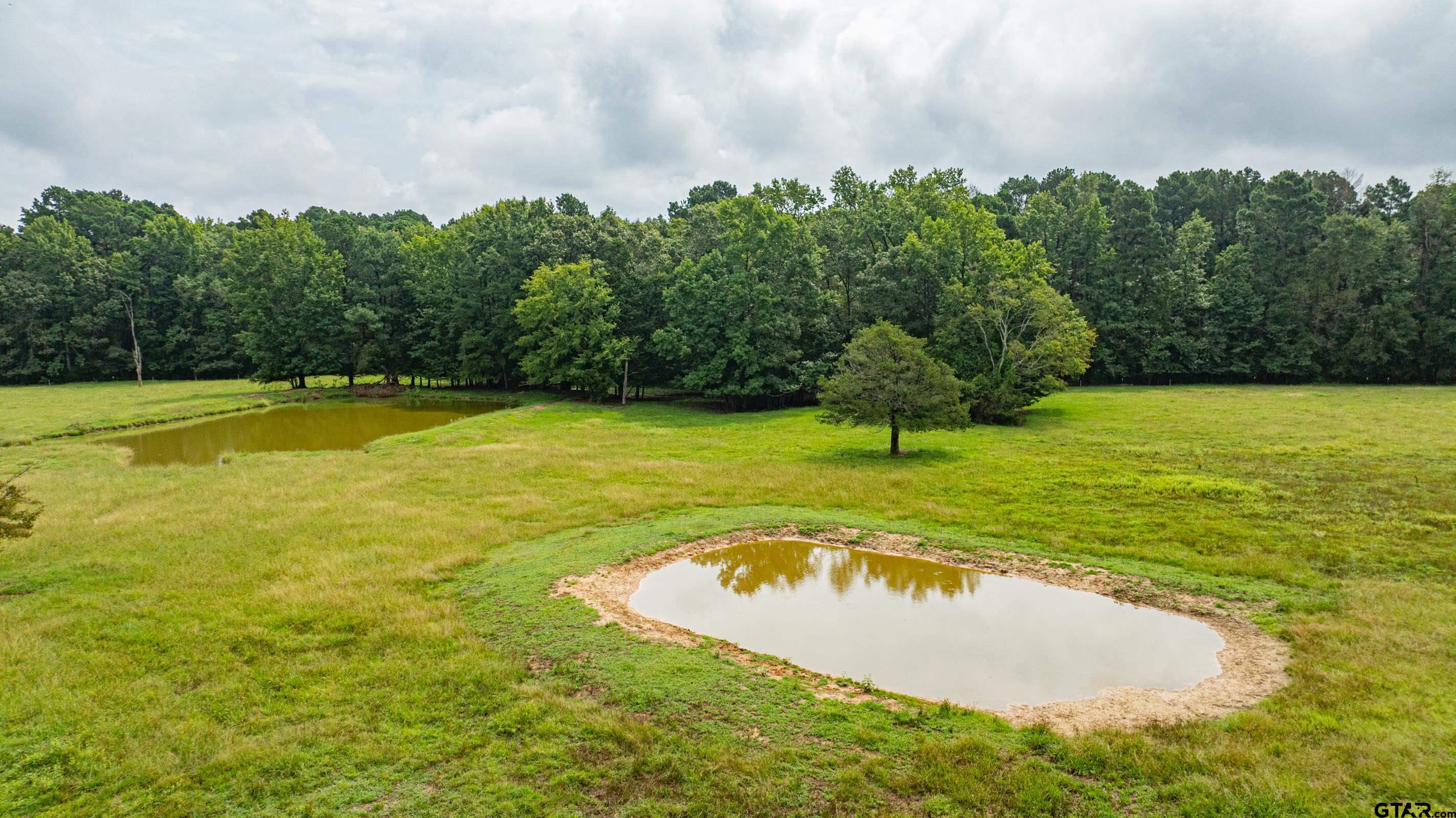 314 Cr 4649, Winnsboro, Texas image 43