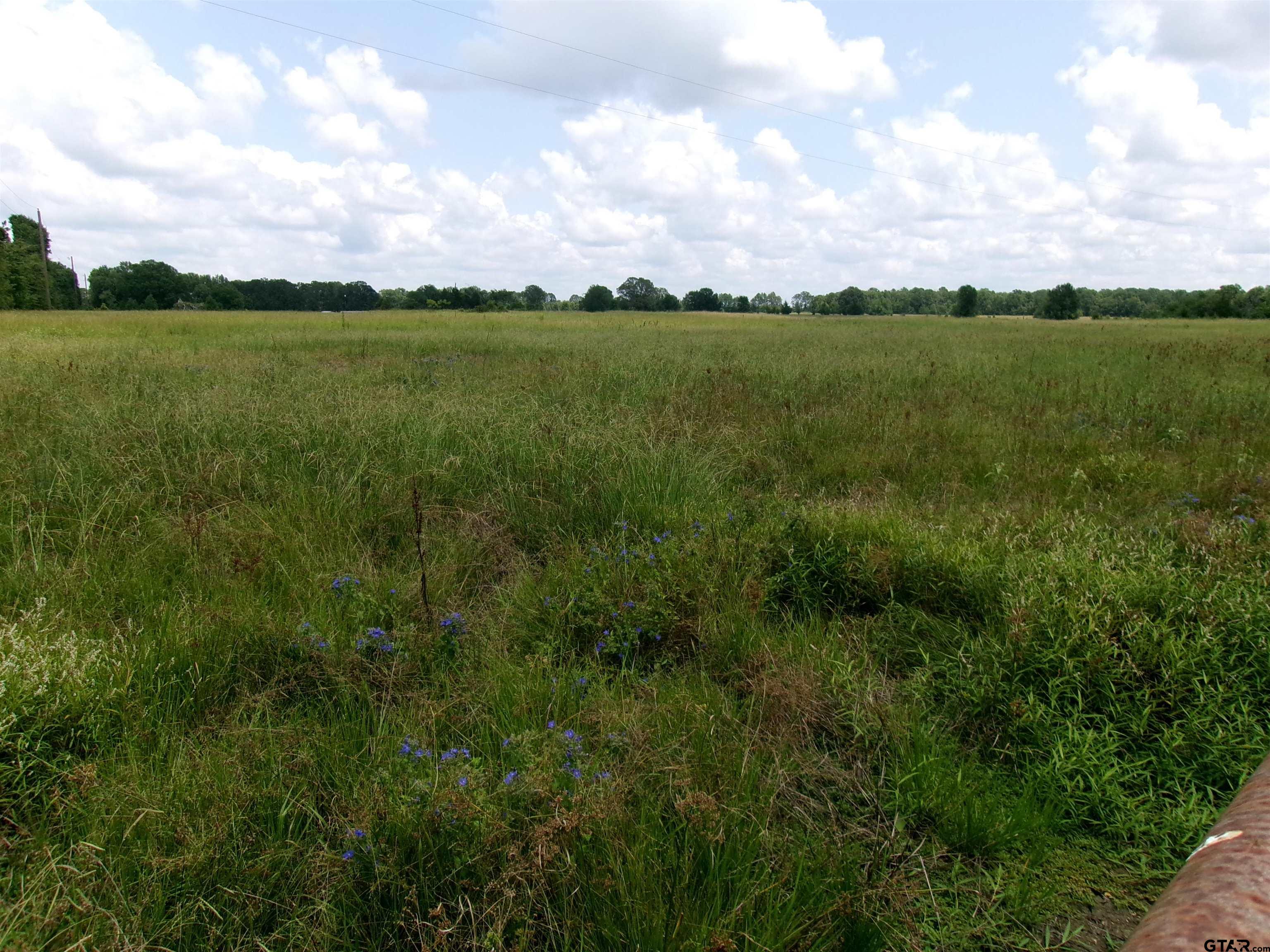 7559 Farm Road 2120, Bagwell, Texas image 2