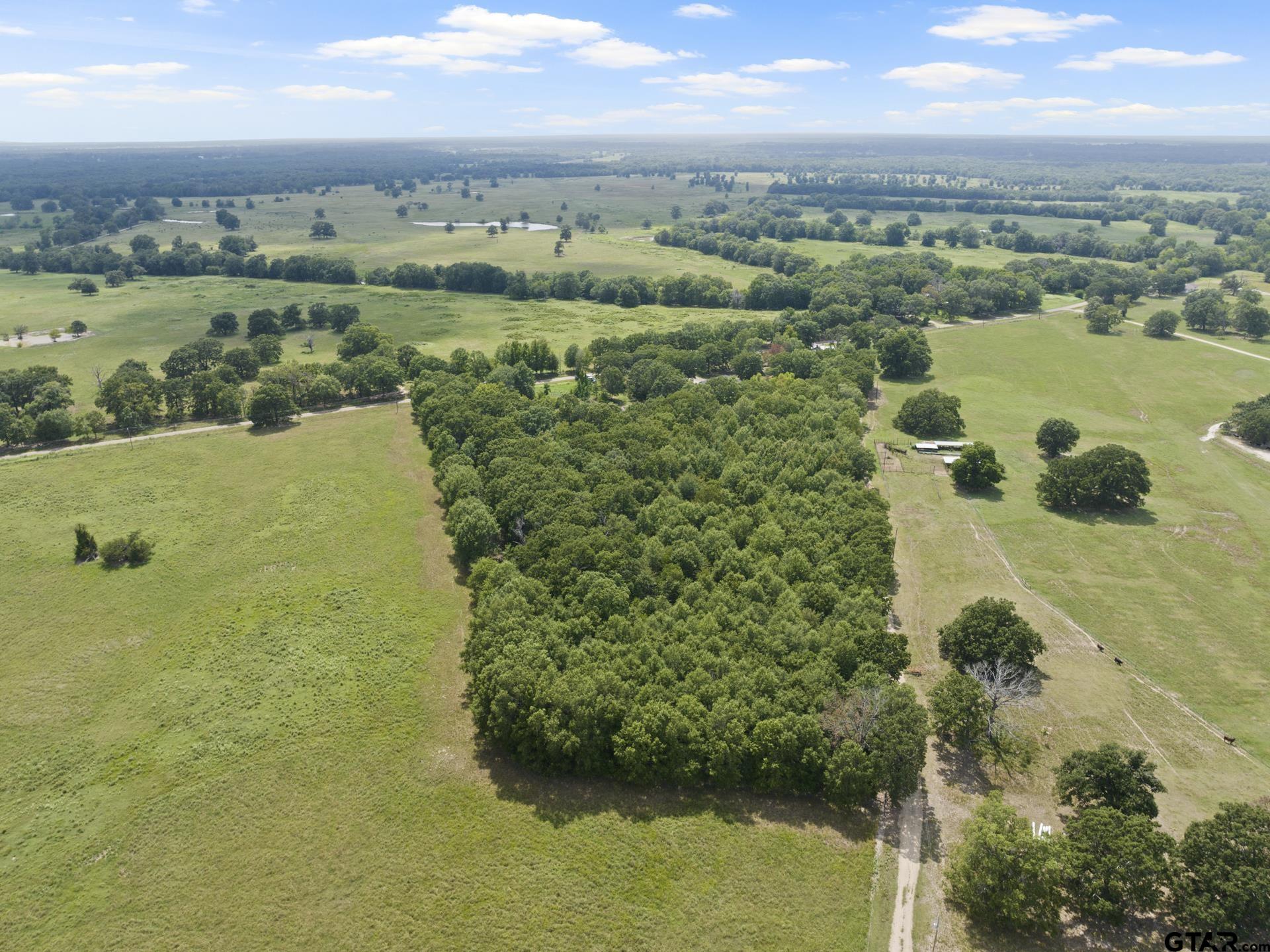 5536 County Road 1905, Talco, Texas image 47