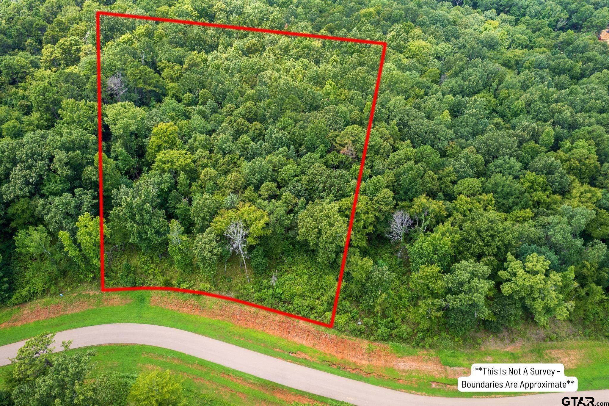 Lot 7R-1 N Pr 52416, Leesburg, Texas image 1